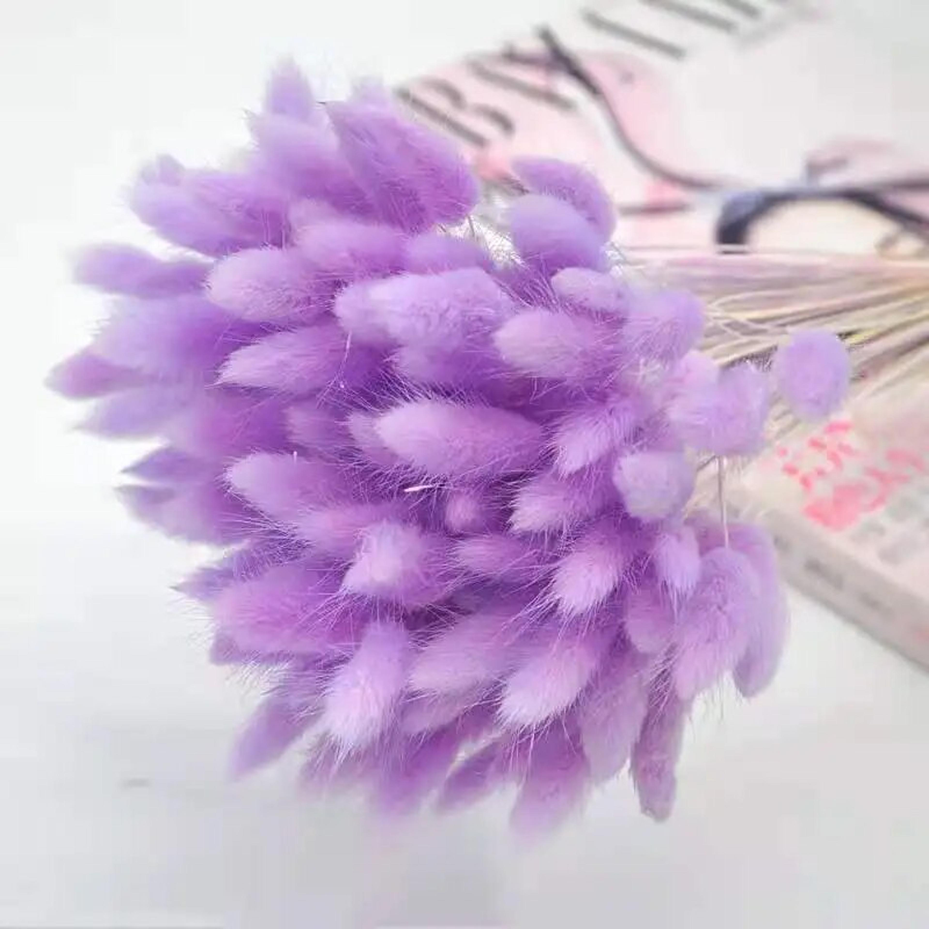 wUzX30-60pcs-Dried-Flower-Rabbit-Tail-Bouquet-Home-Decor-Natural-Fluffy-Pampas-Floral-Arrangement-Rustic-Wedding.jpg