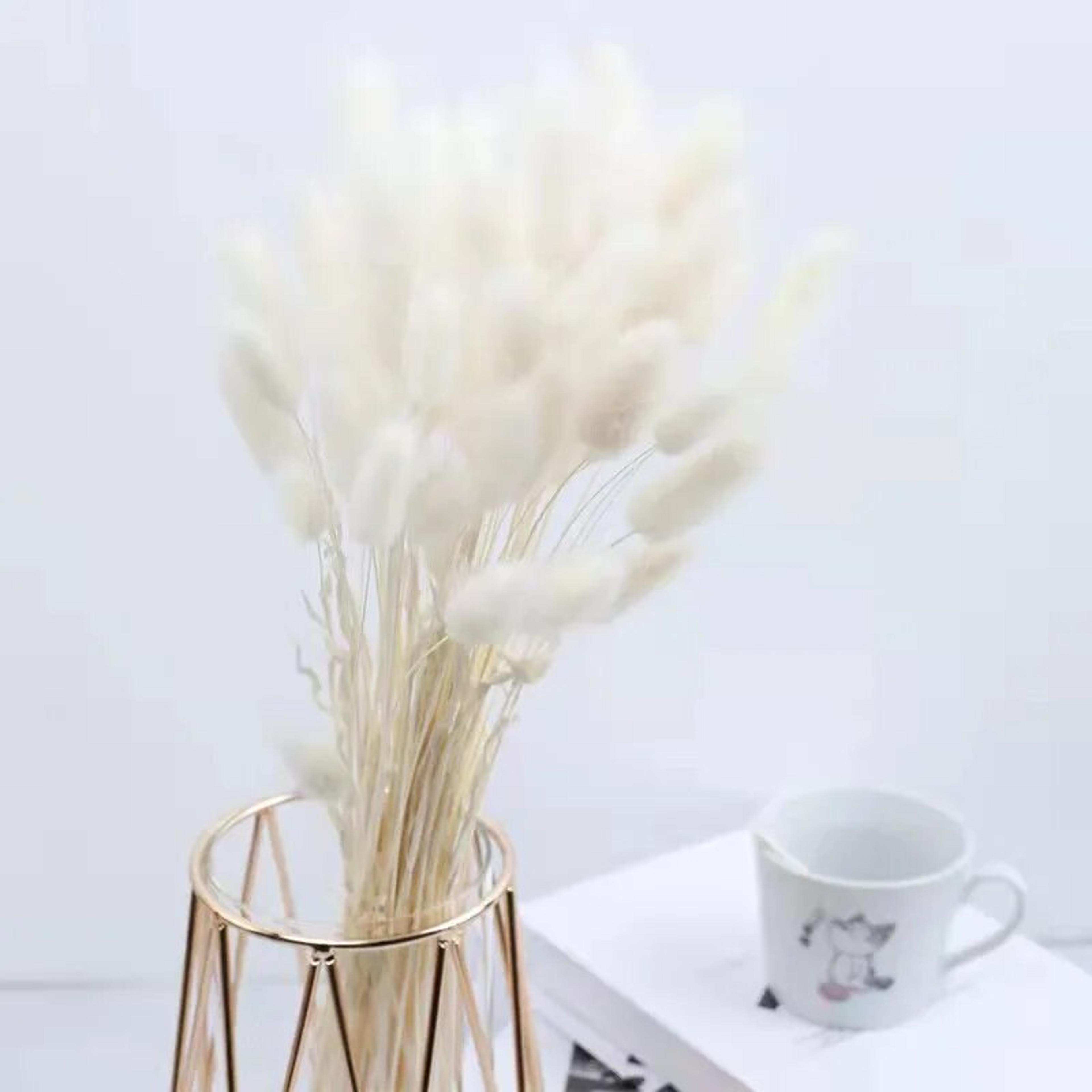 5eQz30-60pcs-Dried-Flower-Rabbit-Tail-Bouquet-Home-Decor-Natural-Fluffy-Pampas-Floral-Arrangement-Rustic-Wedding.jpg