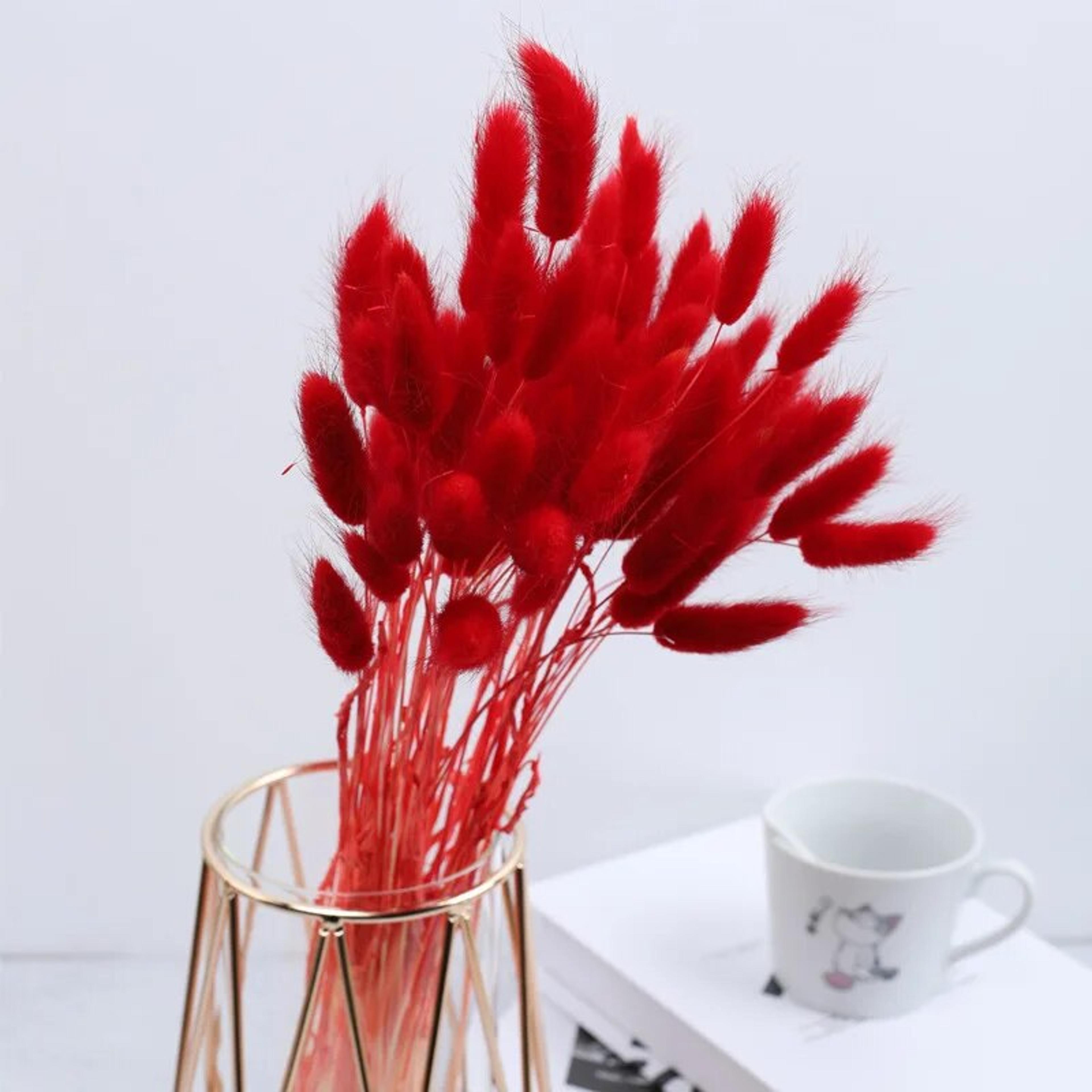 Z5tU30-60pcs-Dried-Flower-Rabbit-Tail-Bouquet-Home-Decor-Natural-Fluffy-Pampas-Floral-Arrangement-Rustic-Wedding.jpg