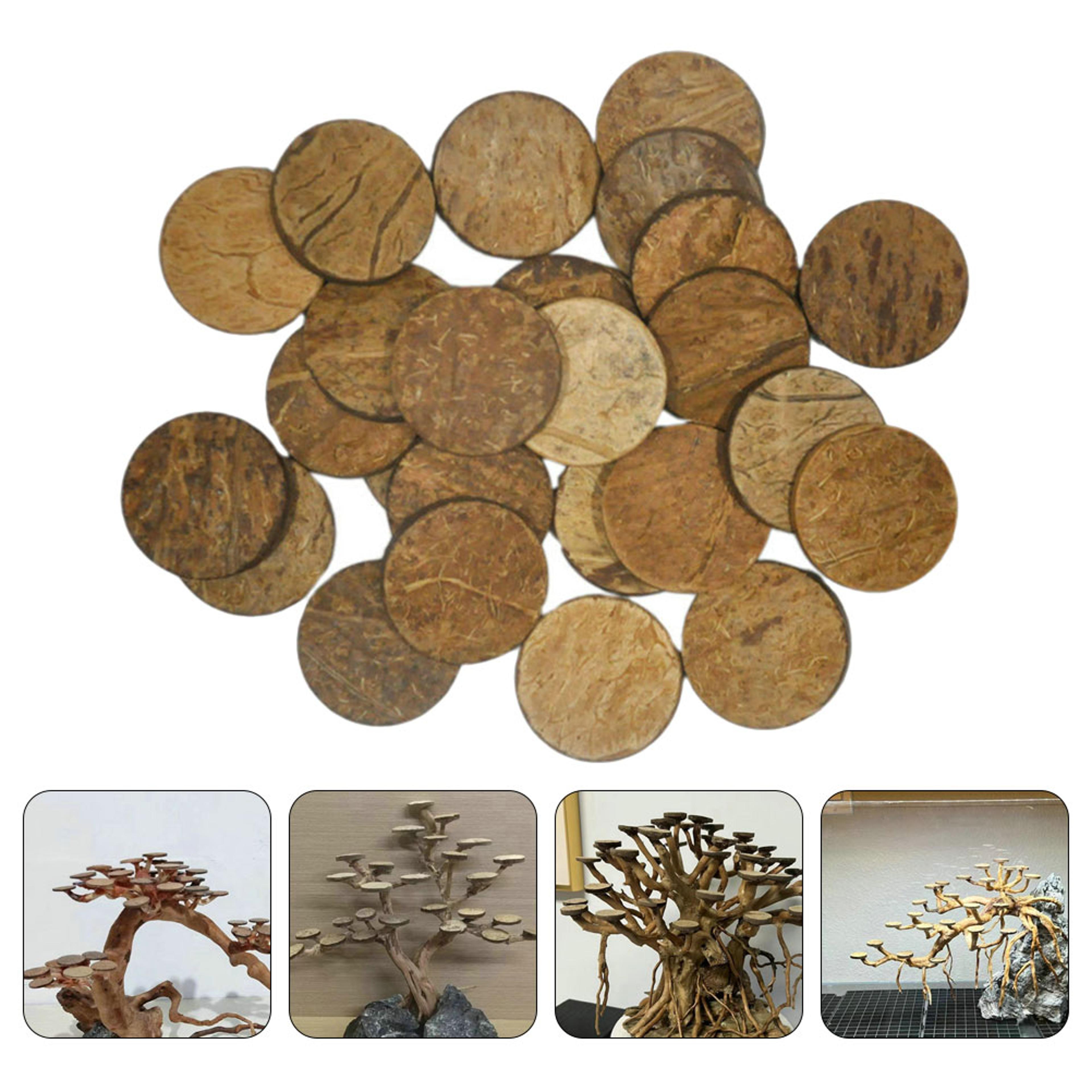 Natural Coconut Shell Aquarium Decor Discs For Fish Tank Ornaments  Crafts 3