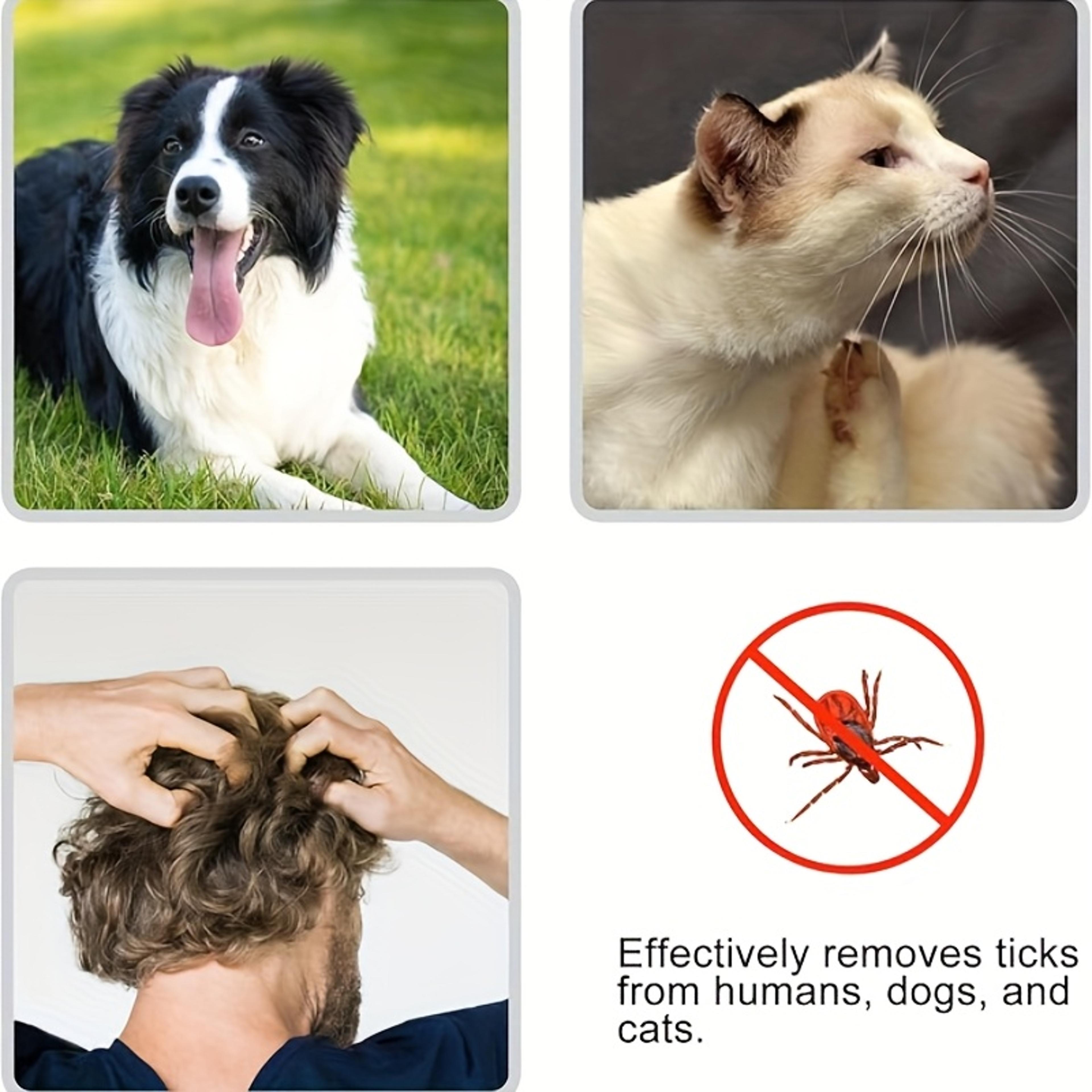 Pet  Family Lice Removal Comb Kit  Gentle Flea Comb For Dogs Cats  Human Hair 3