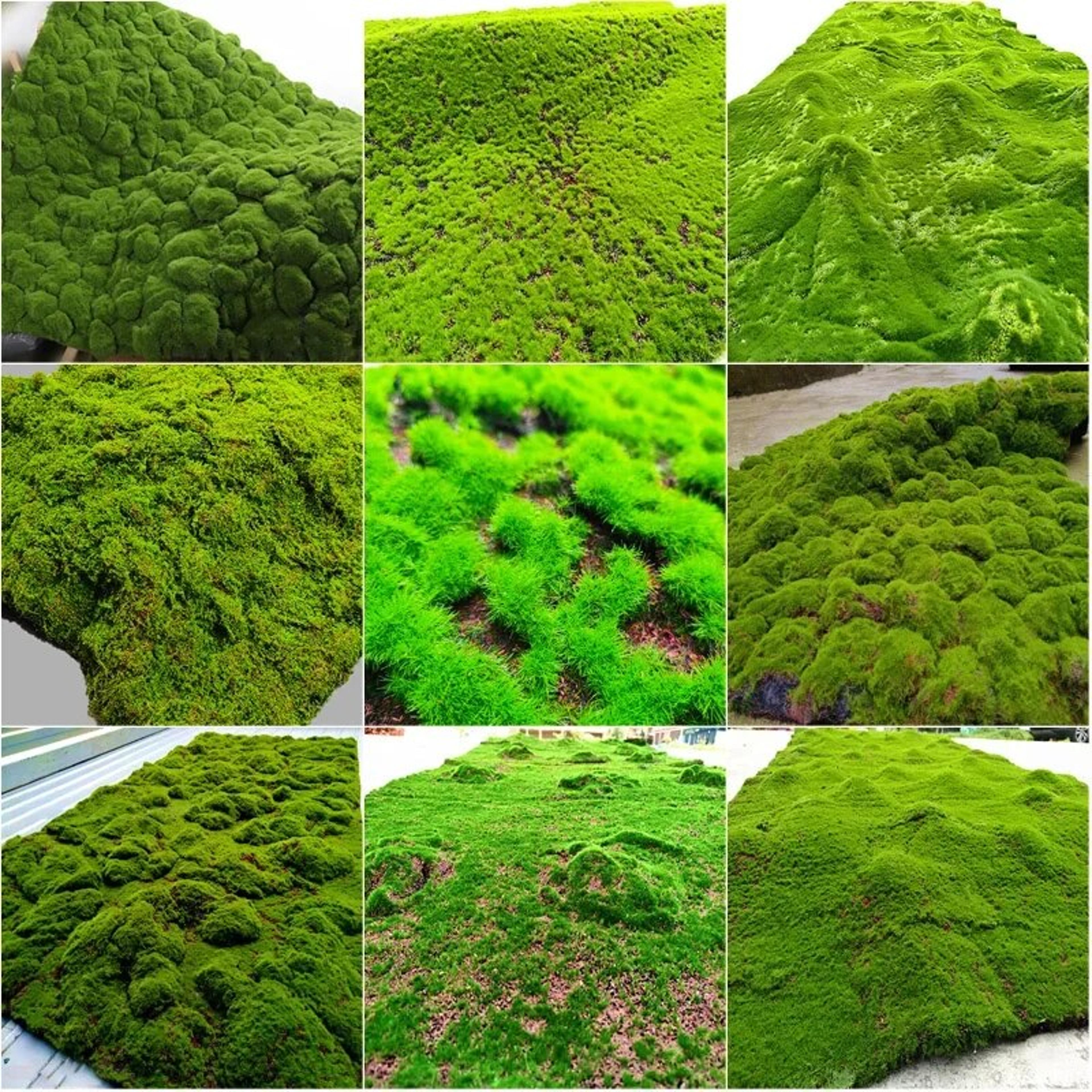 yyoIArtificial-Turf-Moss-Grassland-Fake-Grass-Lawn-Carpet-Artificial-Turf-Outdoor-Grass-Mat-Moss-Carpet-Outdoor.jpg