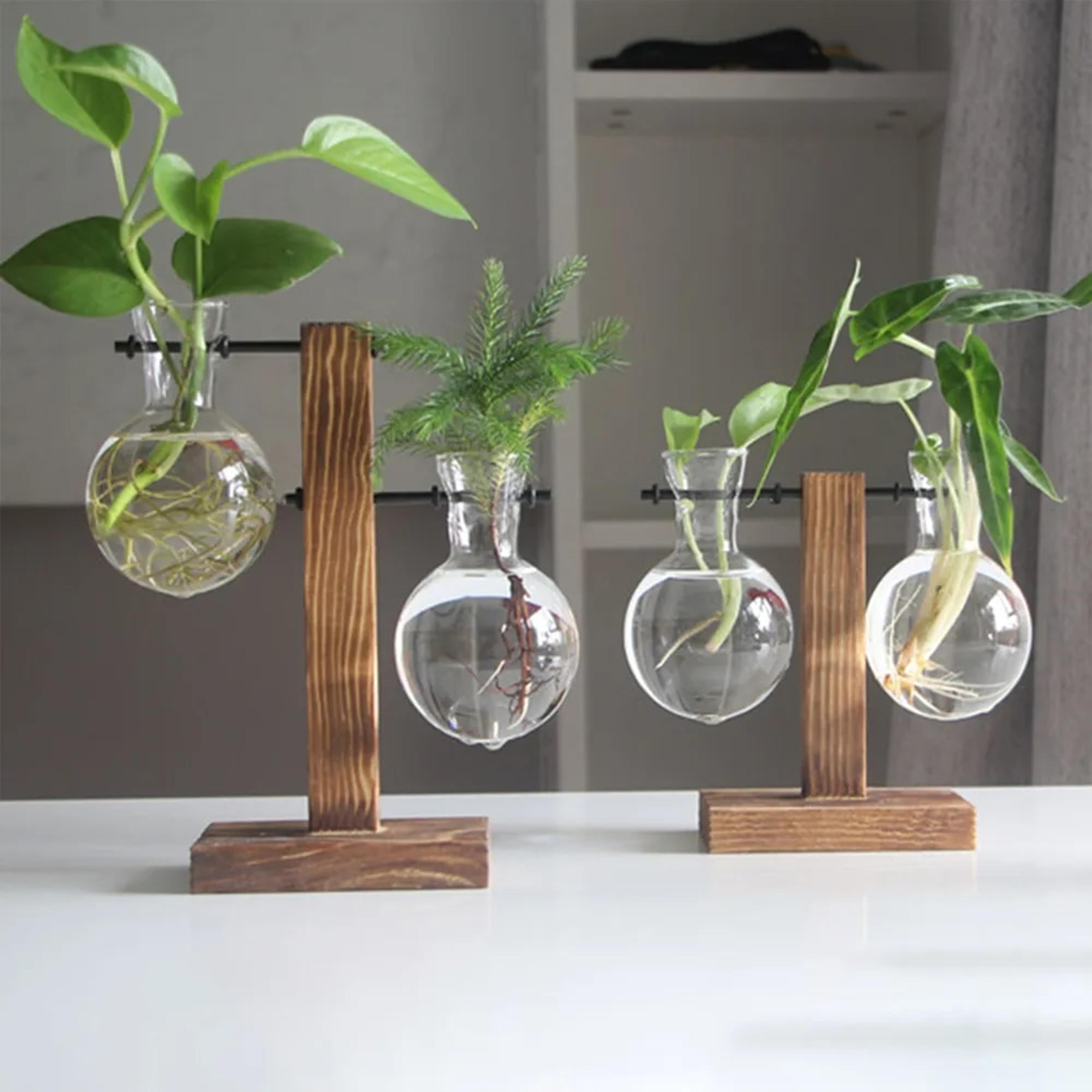 creative glass desktop planter bulb vase with wooden stand - hydroponic plant container for home tabletop decor
