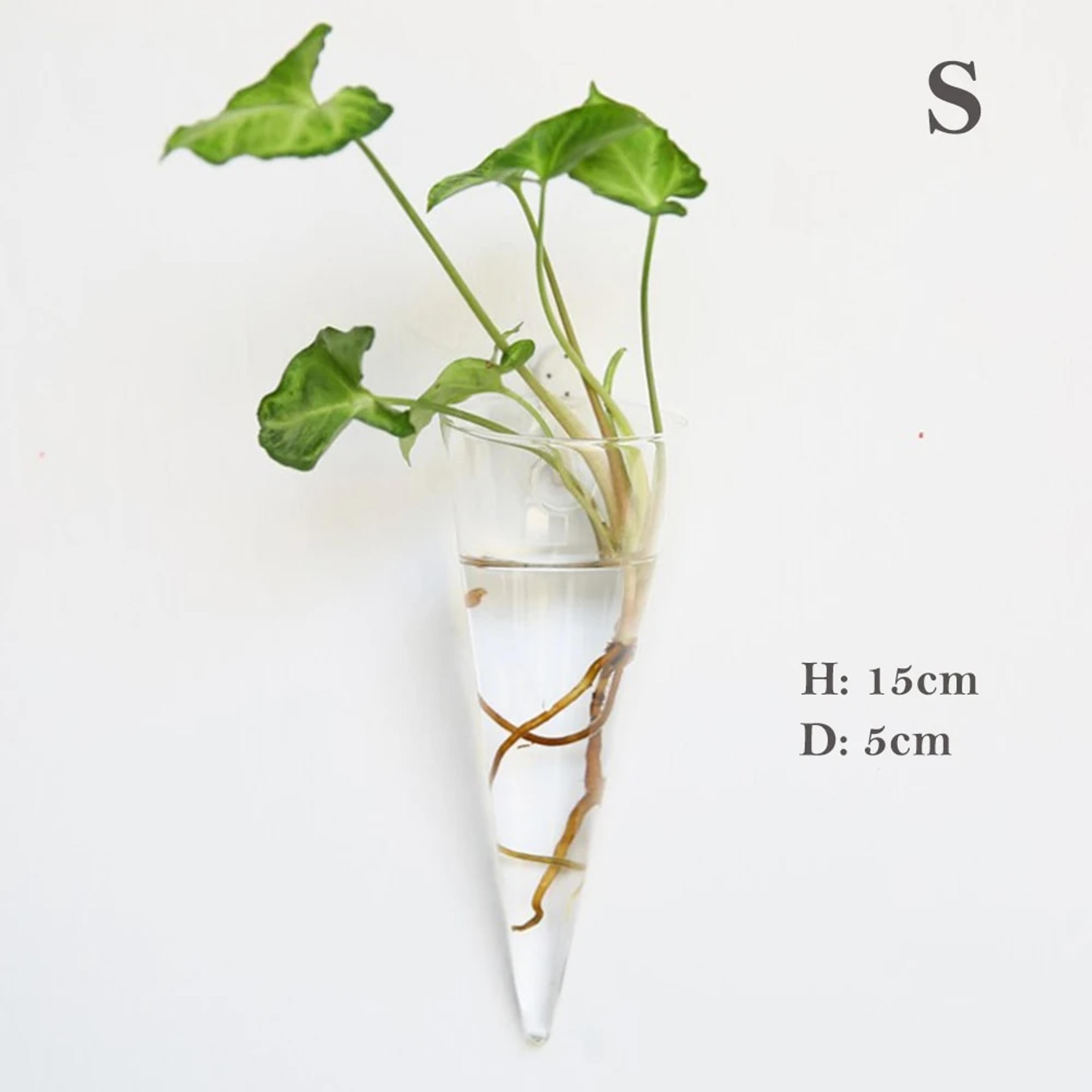 iTOxFashionWallHangingGlassFlowerVaseTerrariumWallFishTankAquariumContainerFlowerPlante
