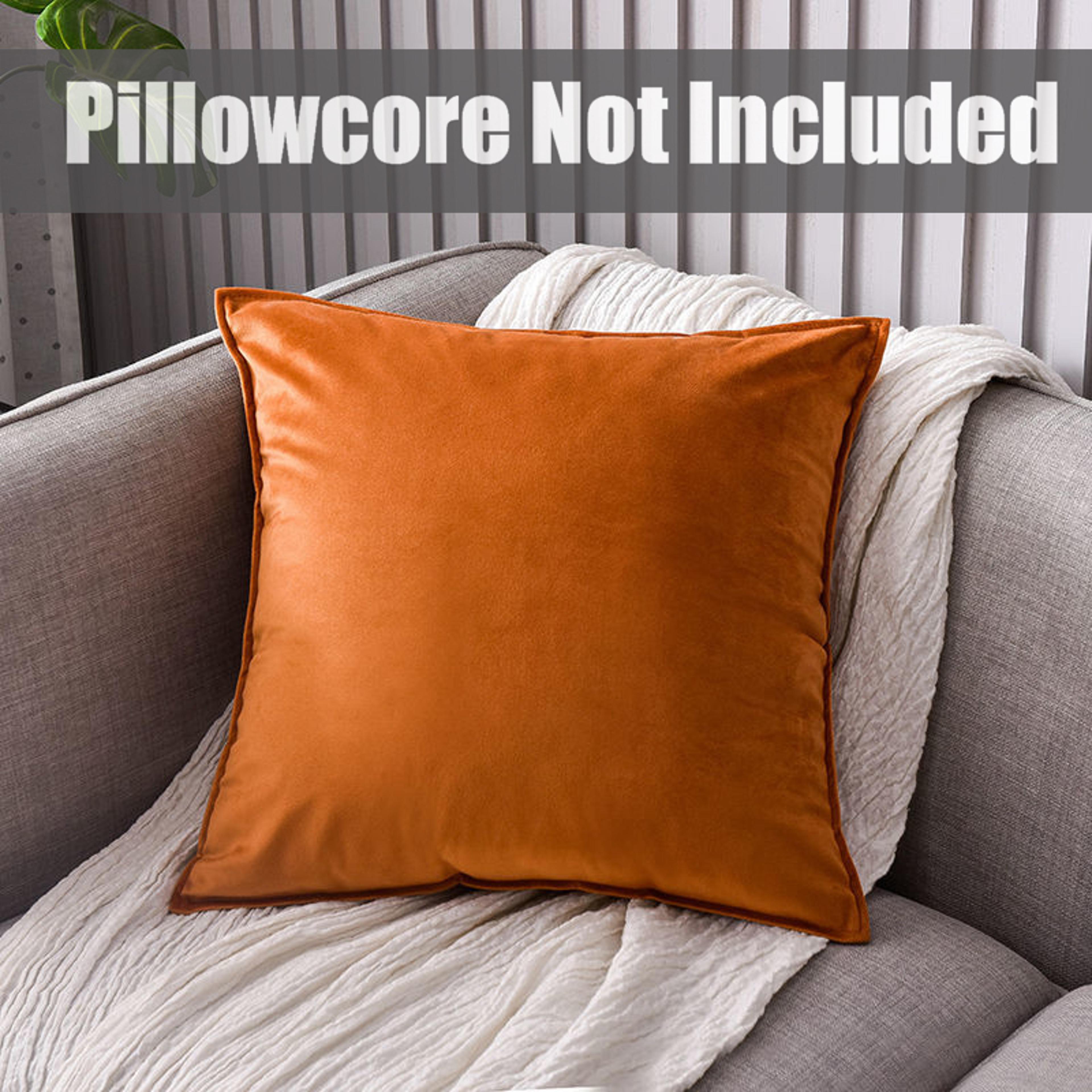 Luxury Velvet Decorative Cushion Cover Super Soft Solid Color Living Room Sofa Pillow Cover For Sty 6