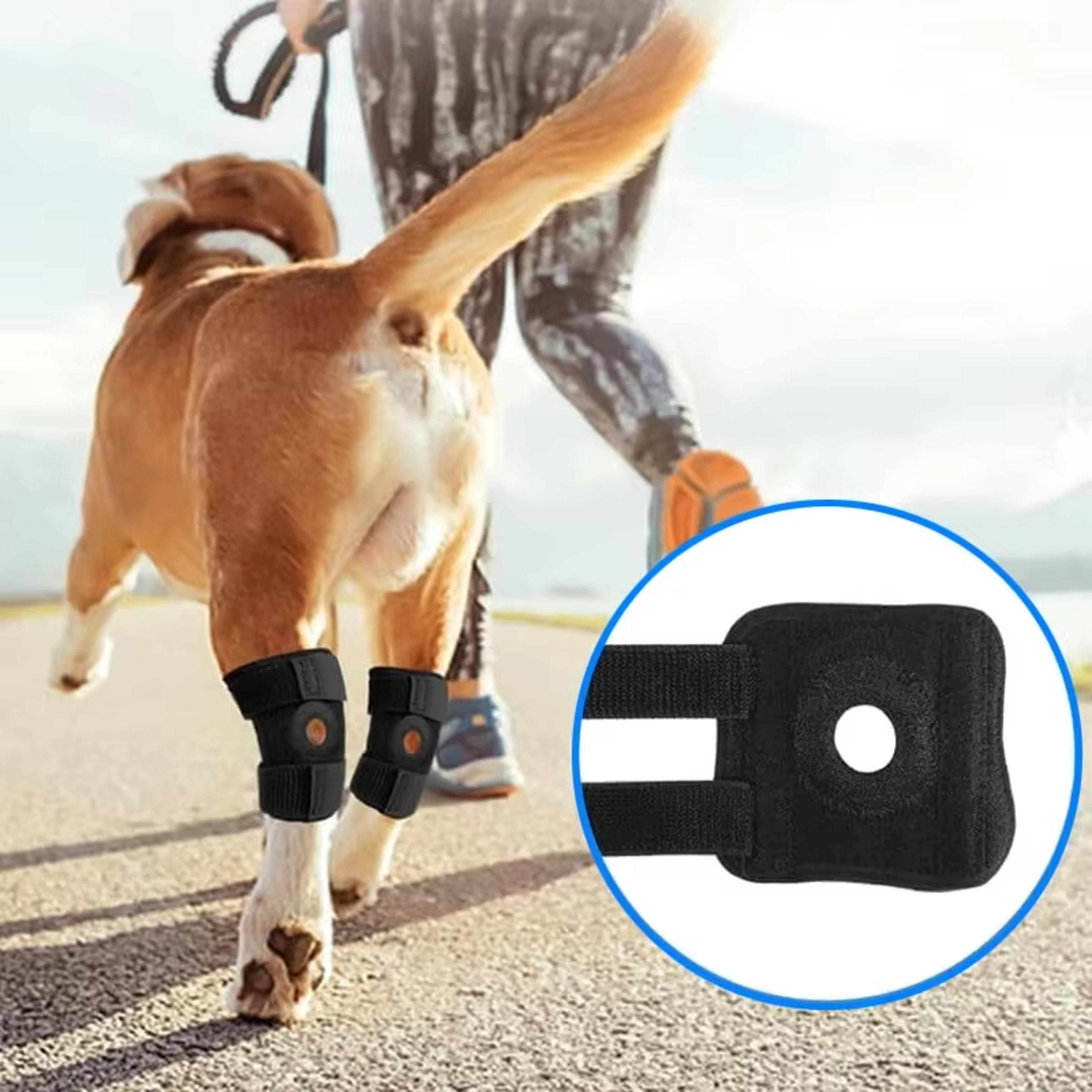 Dogs Knee Pads Leg Support Brace Arthritis Protector Covers Hock Joint Wrap Injury Recovery Supplie