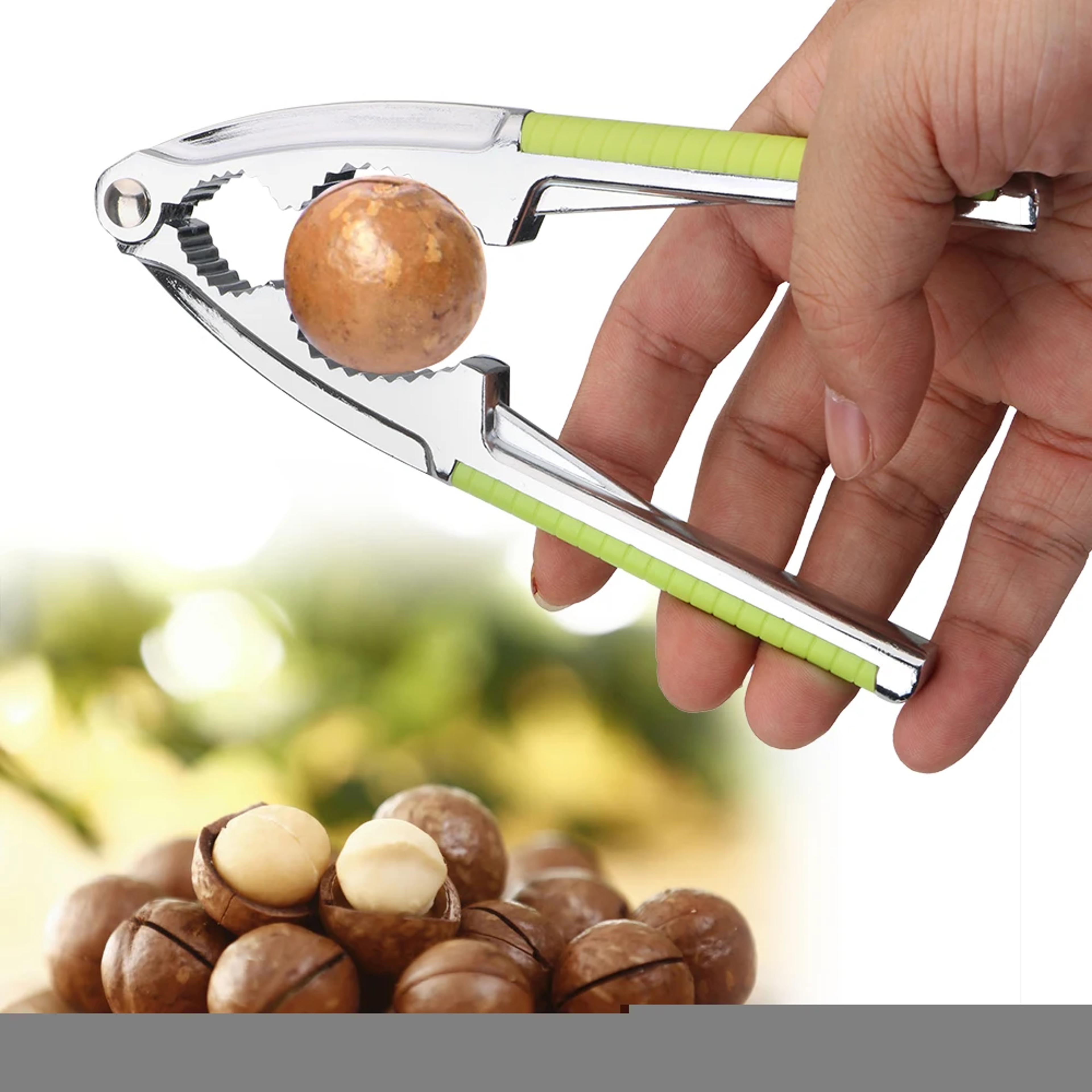 Stainless Steel Nut Cracker For Almonds Walnuts Hazelnuts  Bolt Clamping MultiFunction Kitchen Tool 1