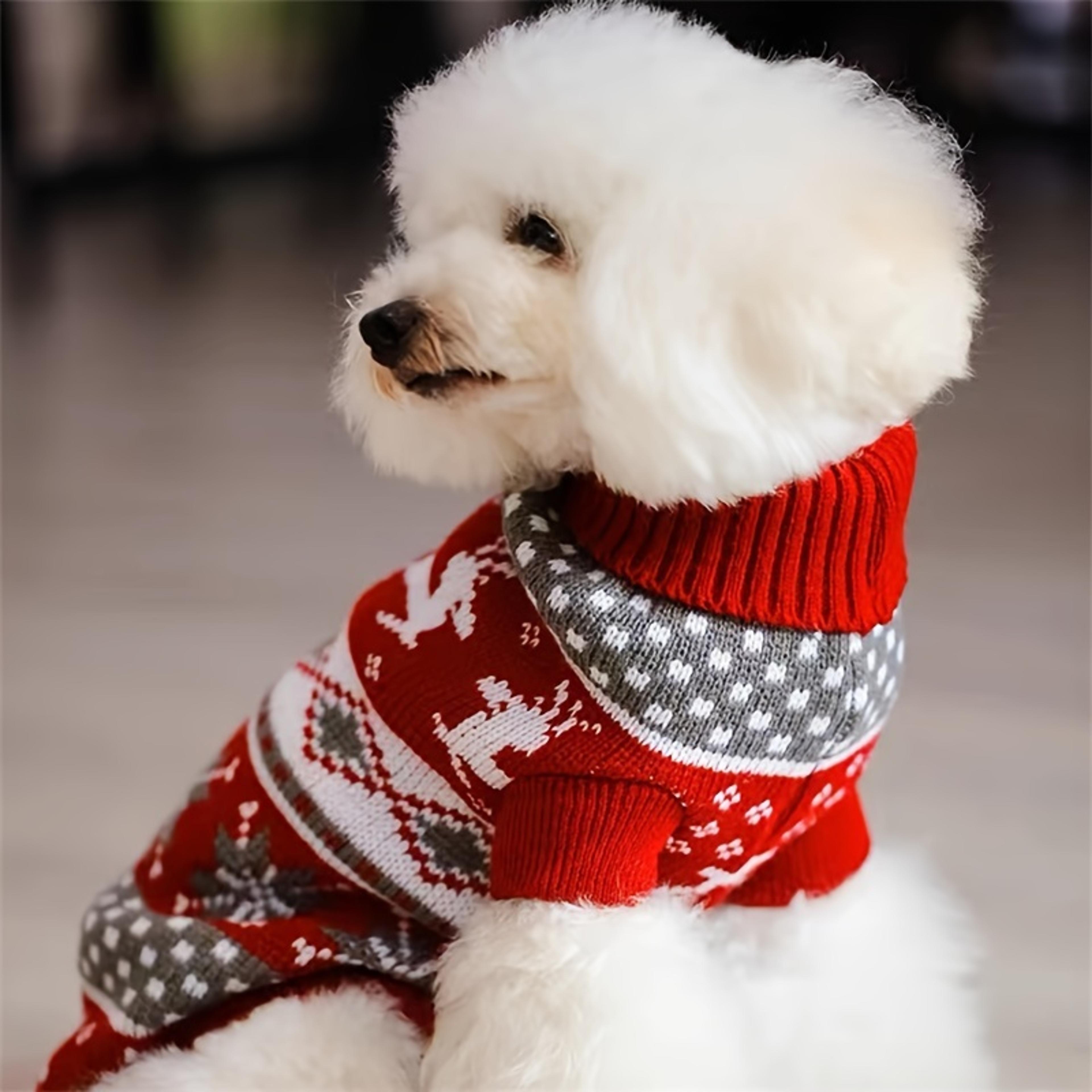 knitted wool pet sweater for dogs and cats cozy, stylish sweater for bichon, corgi, and more