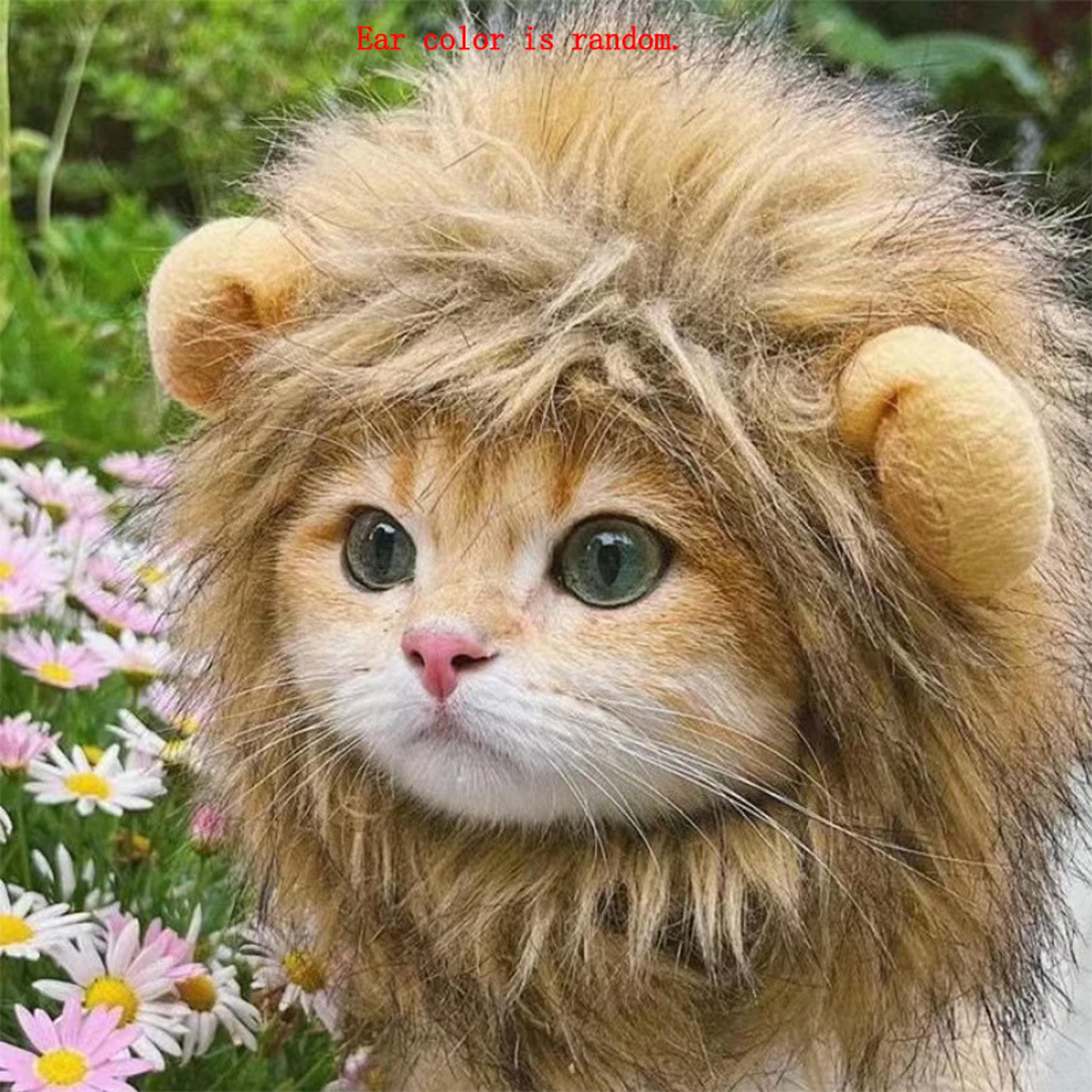 adjustable cat and dog lion mane hairpiece for humorous dress-up play