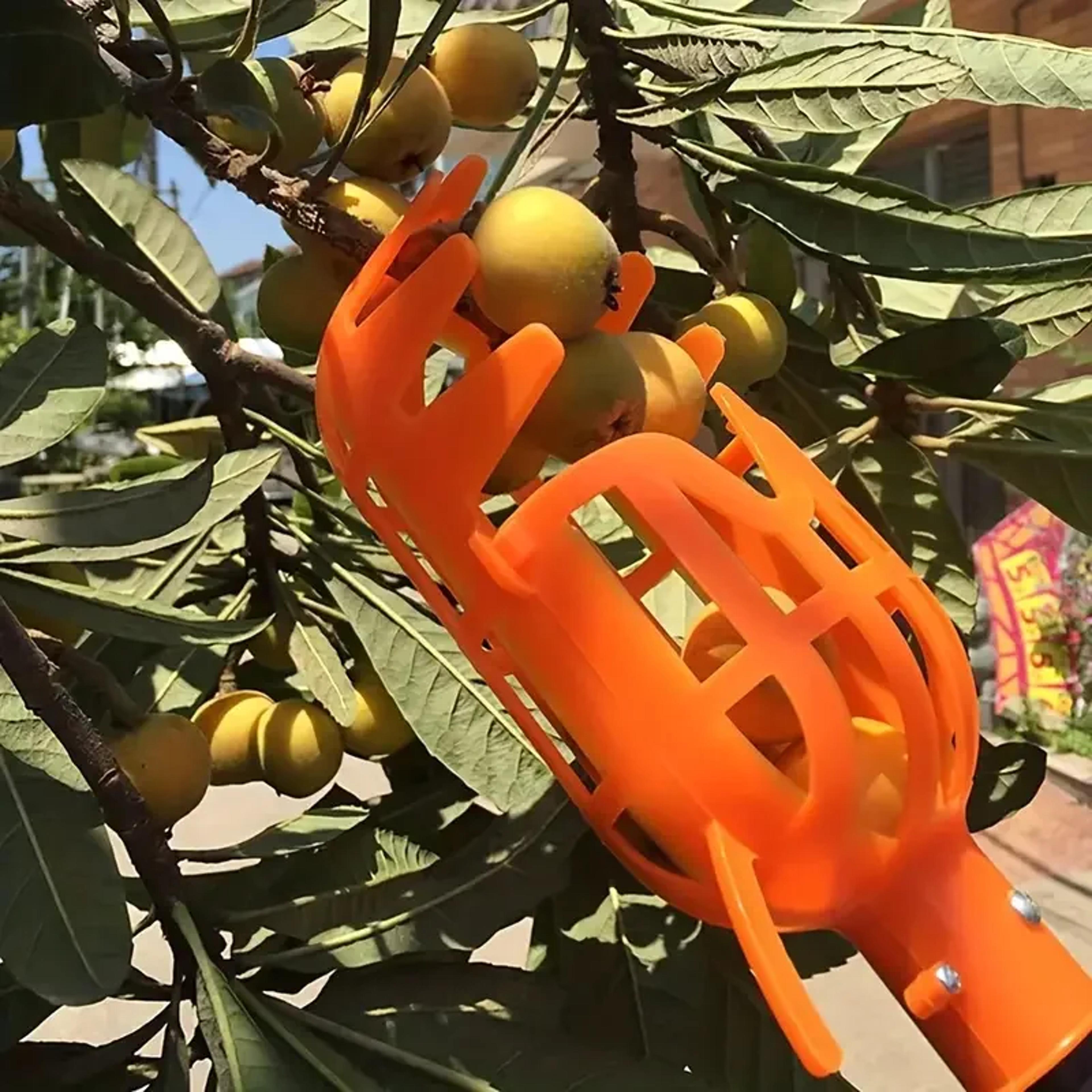 High Reach Fruit Picker Tool Basket For Tree Harvesting Garden Fruit Picker For Peach Plum Jujube 0