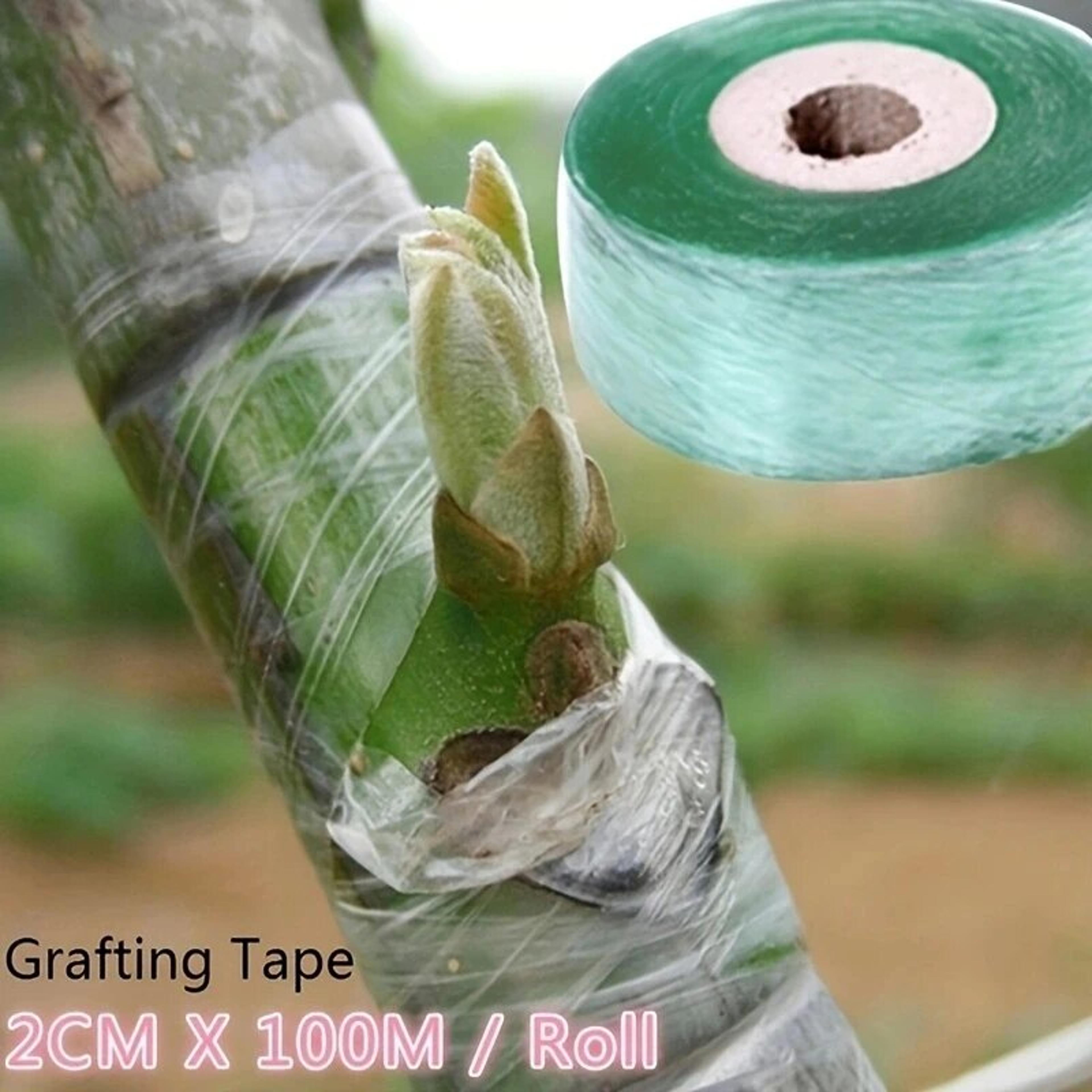 self-adhesive grafting tape for plants stretchable pe film for gardening, trees & seedlings