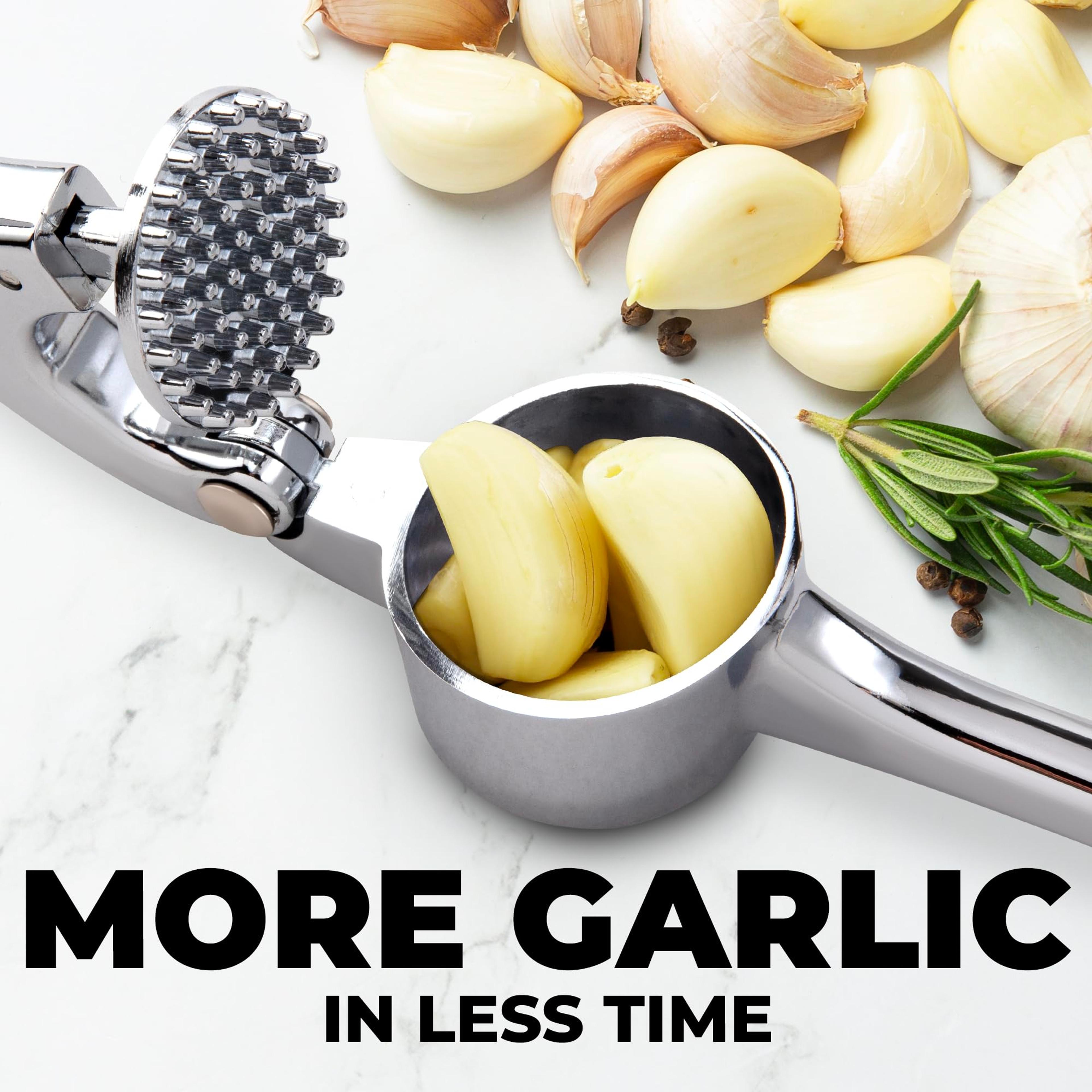 Zinc Alloy Garlic Press  Ginger Crusher Premium Handheld Mincer For Effortless Veggie Masher  Squee 1