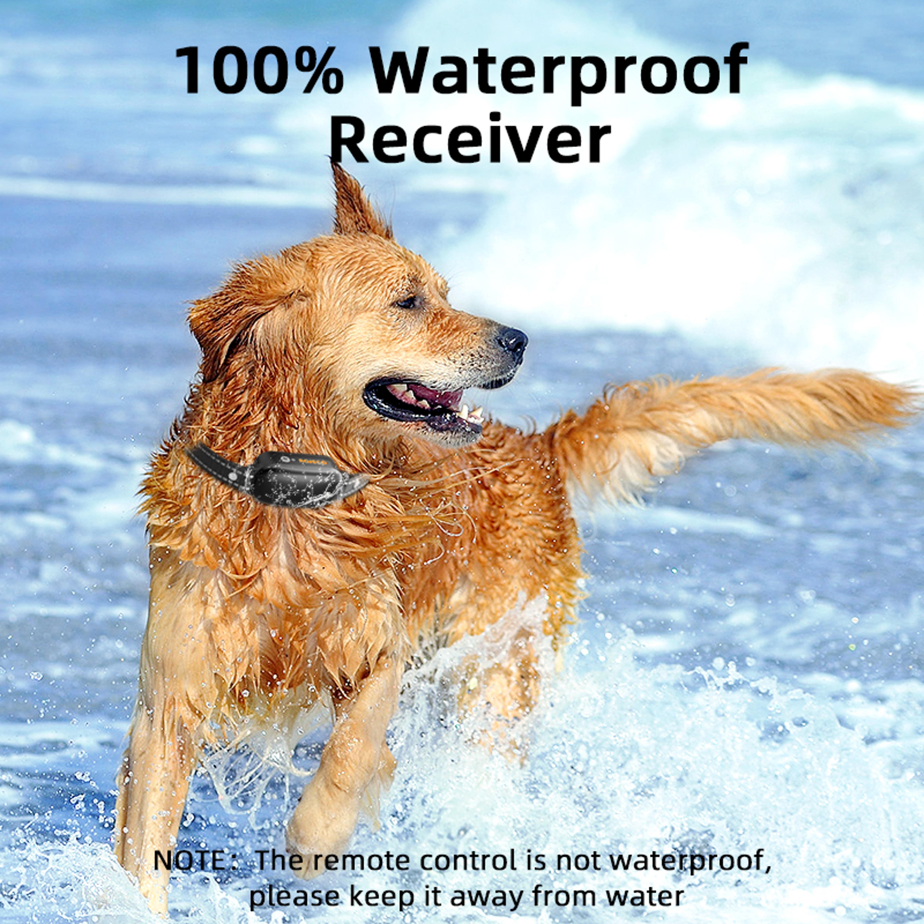 Rechargeable Dog Training Collar With Remote Control Waterproof Bark Control System 2