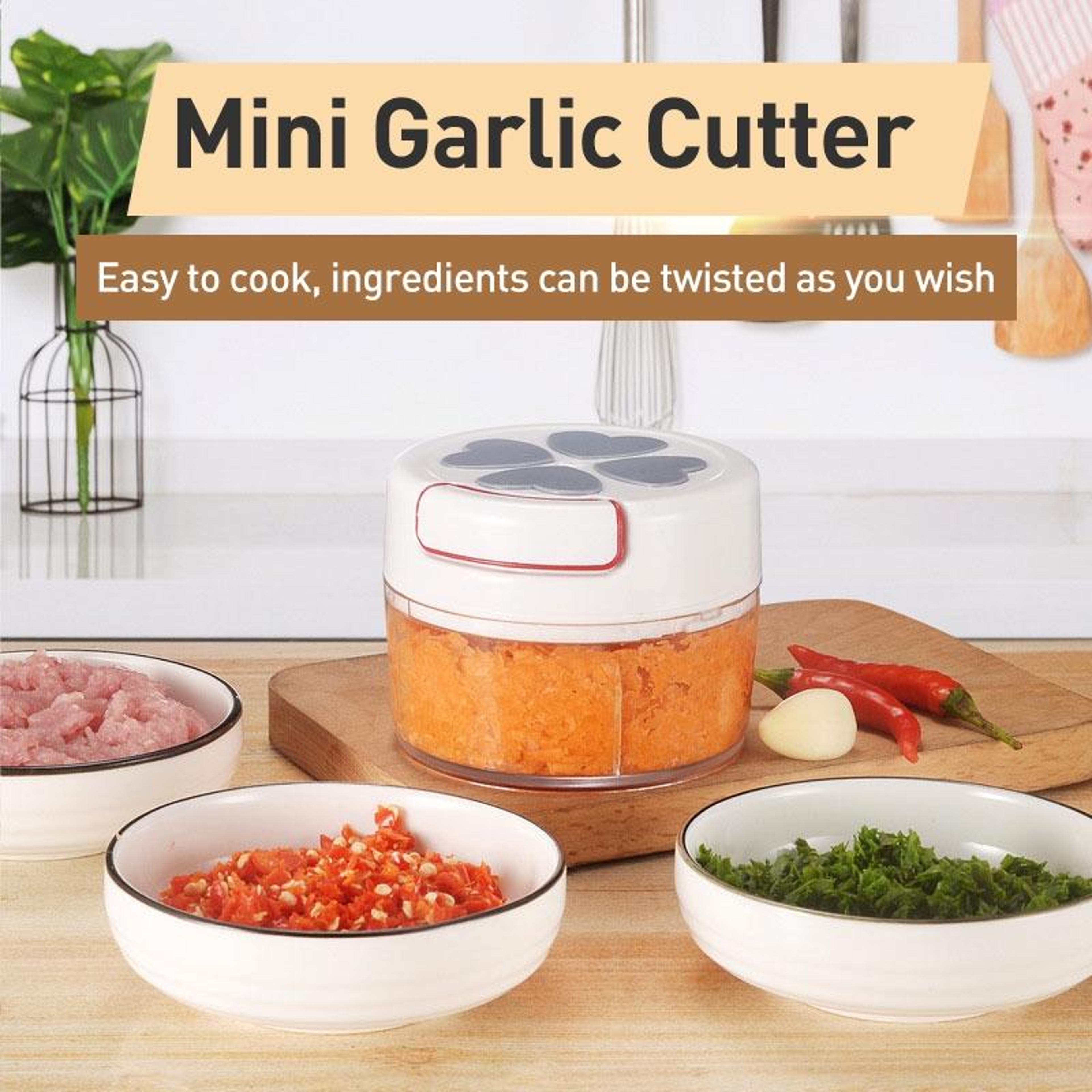 Premium Manual Garlic  Vegetable Chopper All In One Kitchen Garlic Tool 4