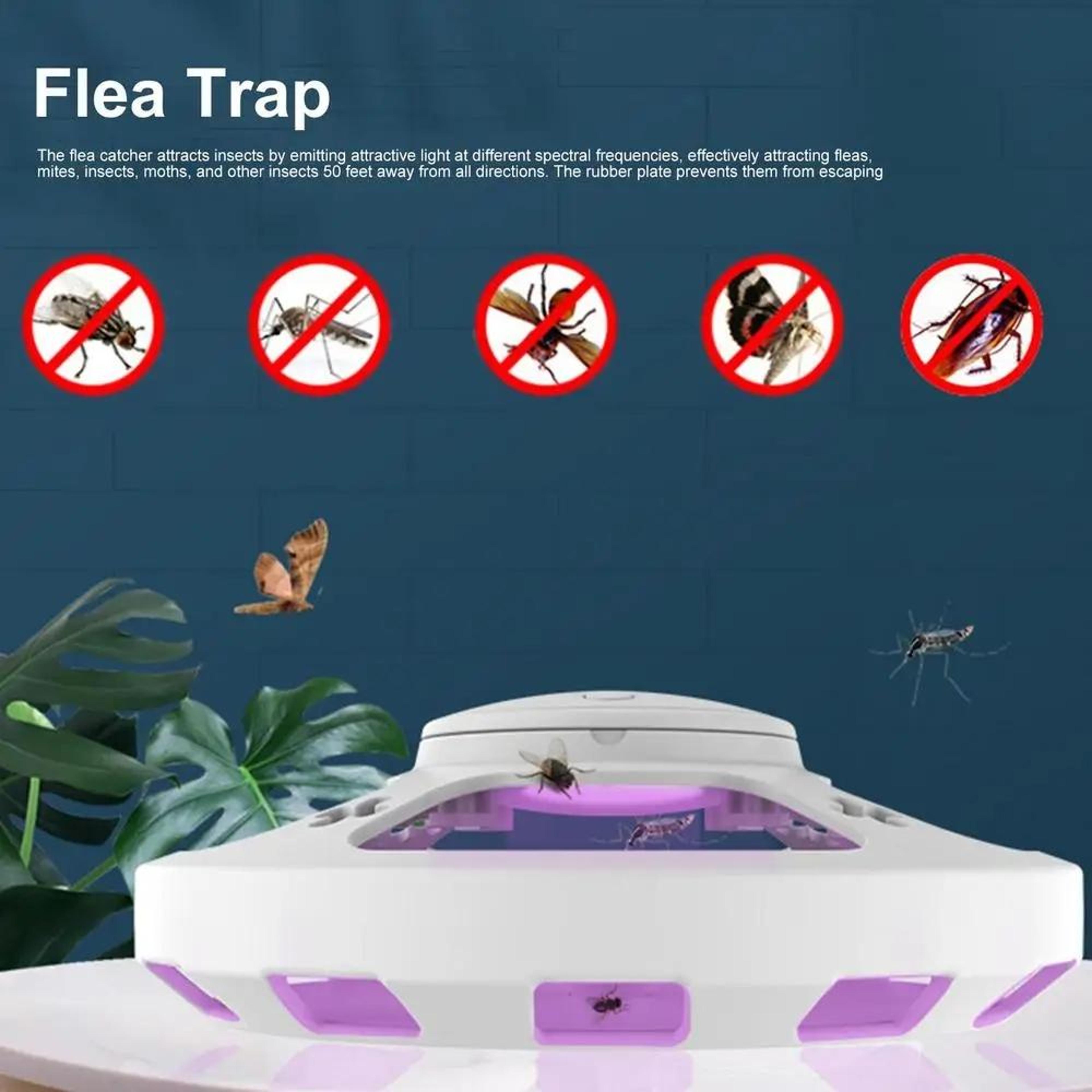 All In One USB Insect Trap With Warm  Purple Light Powerful Mosquito Trap  Fly Catcher 1