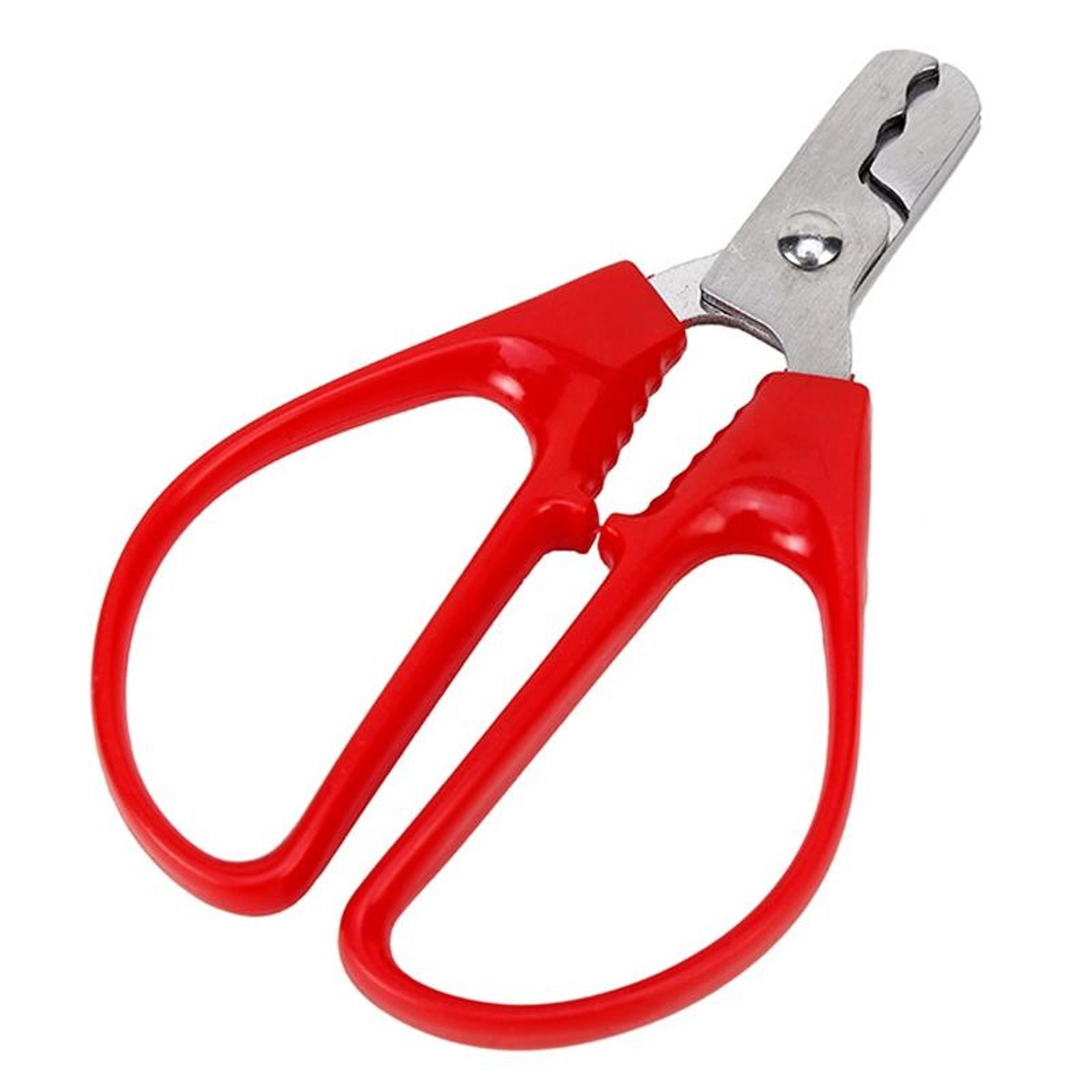 NutEase Stainless Steel Peanut  Pine Nut Sheller Pliers 1