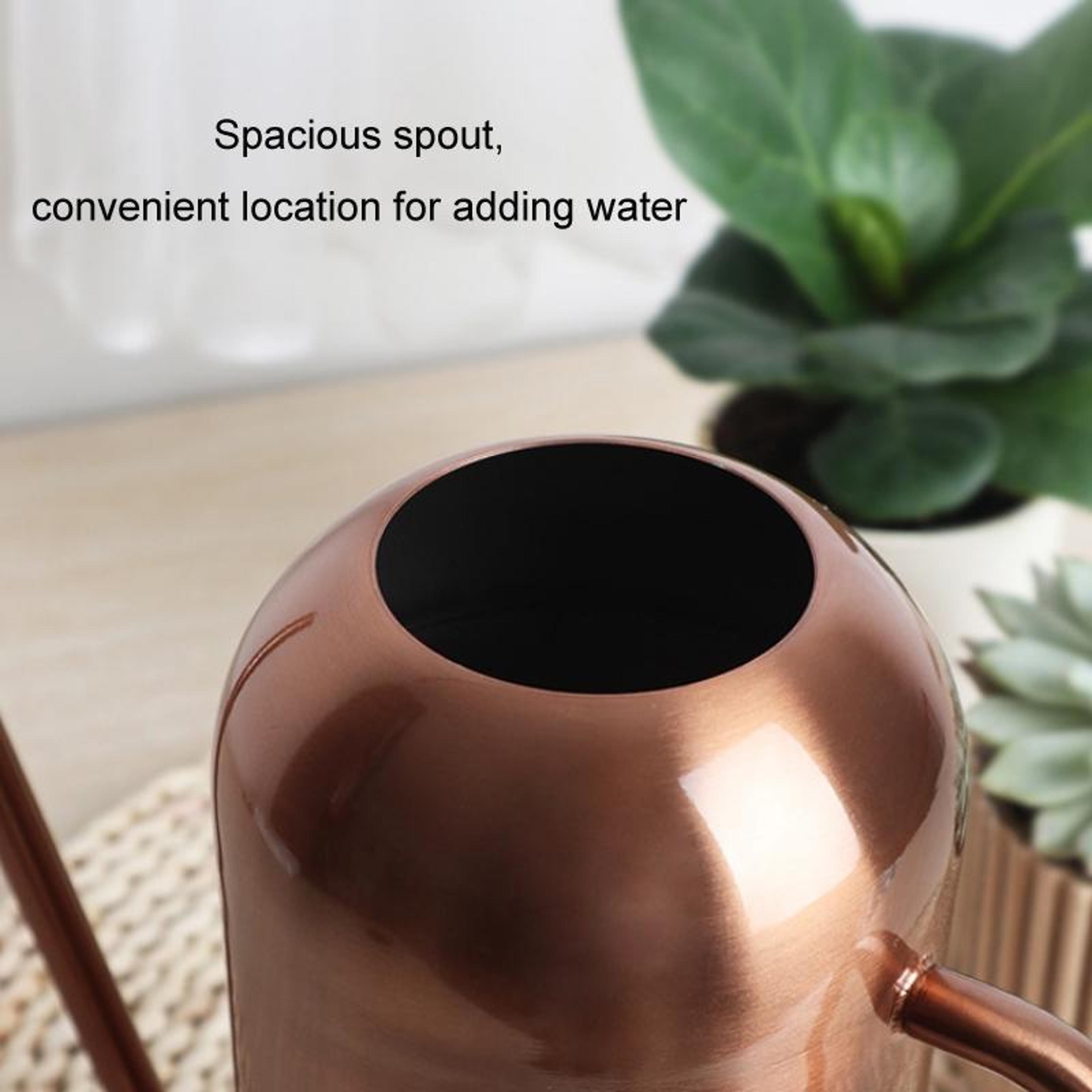 1500ml Stainless Steel Indoor Plant Watering Can With Long Precision Spout 2