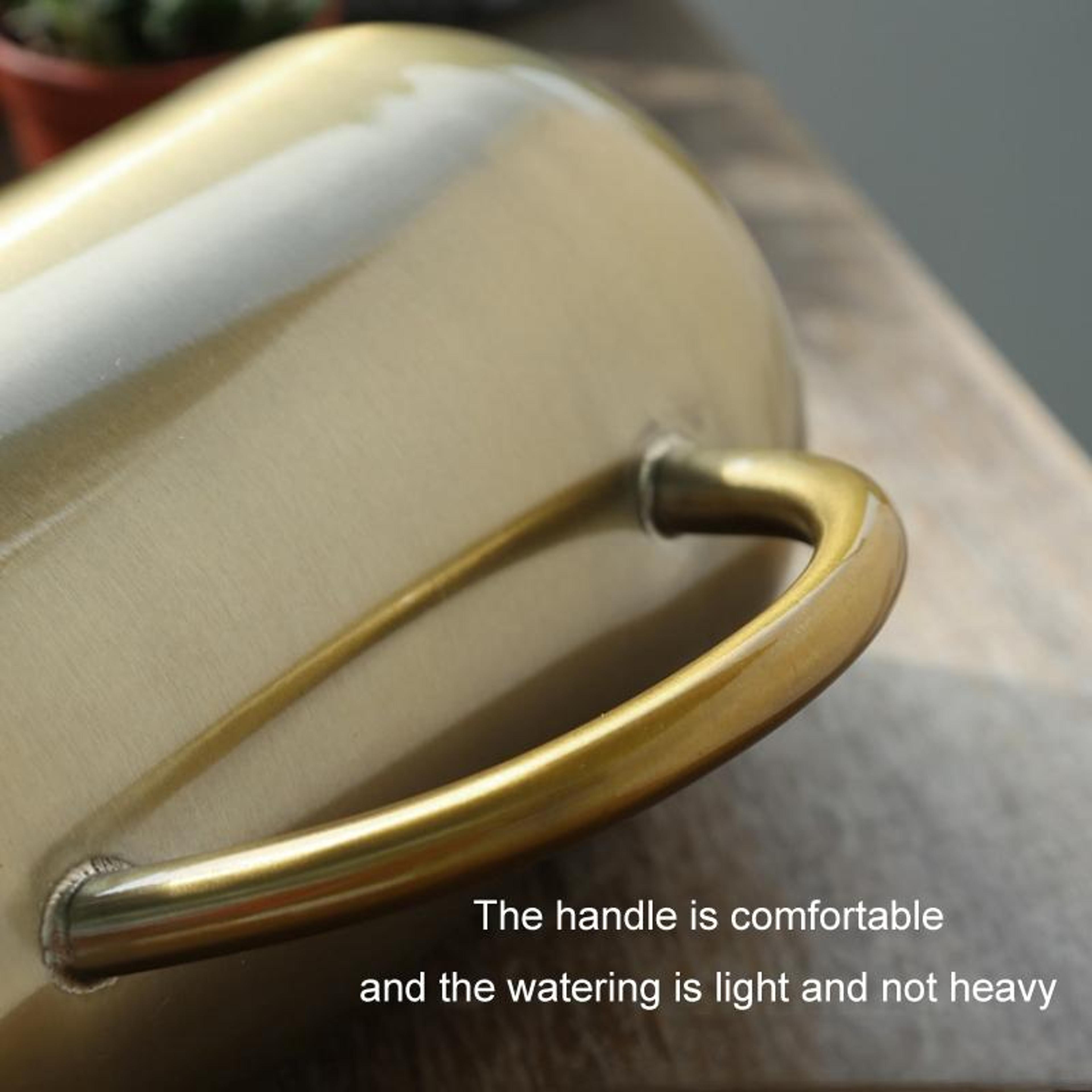 1500ml Stainless Steel Indoor Plant Watering Can With Long Precision Spout 5