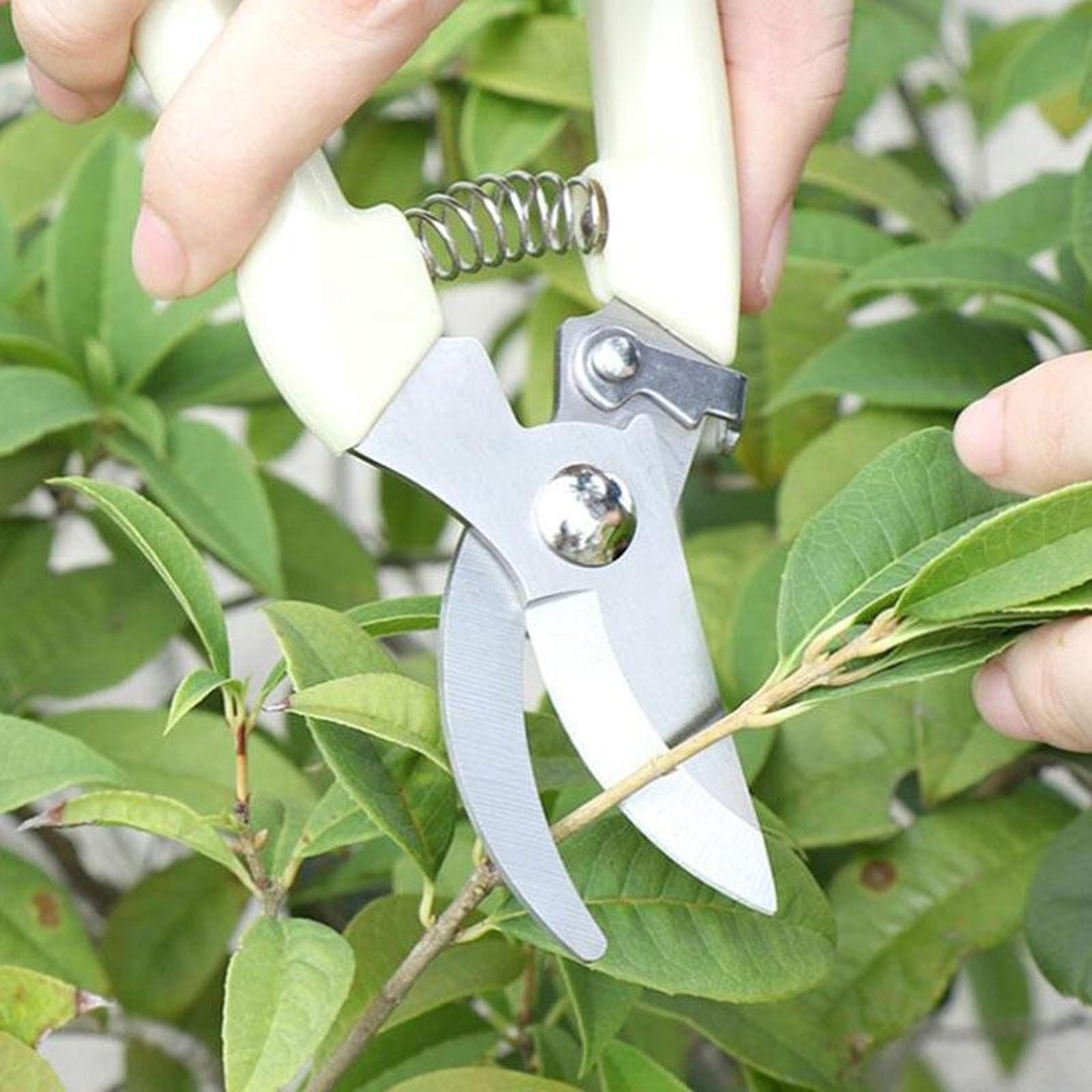 PrecisionCut Stainless Steel Pruning Shears For Fruit Trees  Garden Branch Trimming 1