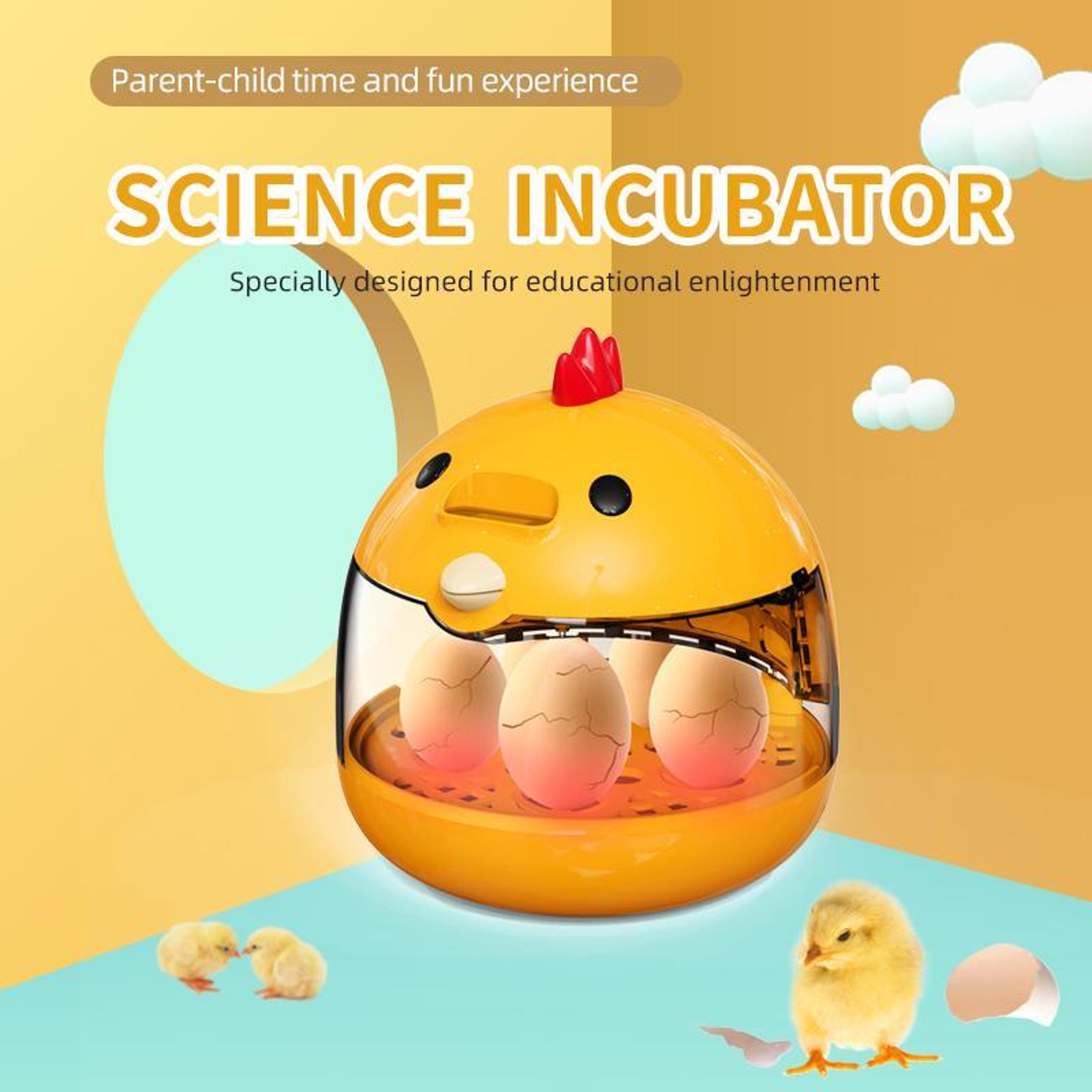 Smart Mini Egg Incubator For Kids Science Education  Egg Hatching Learning Kit 7