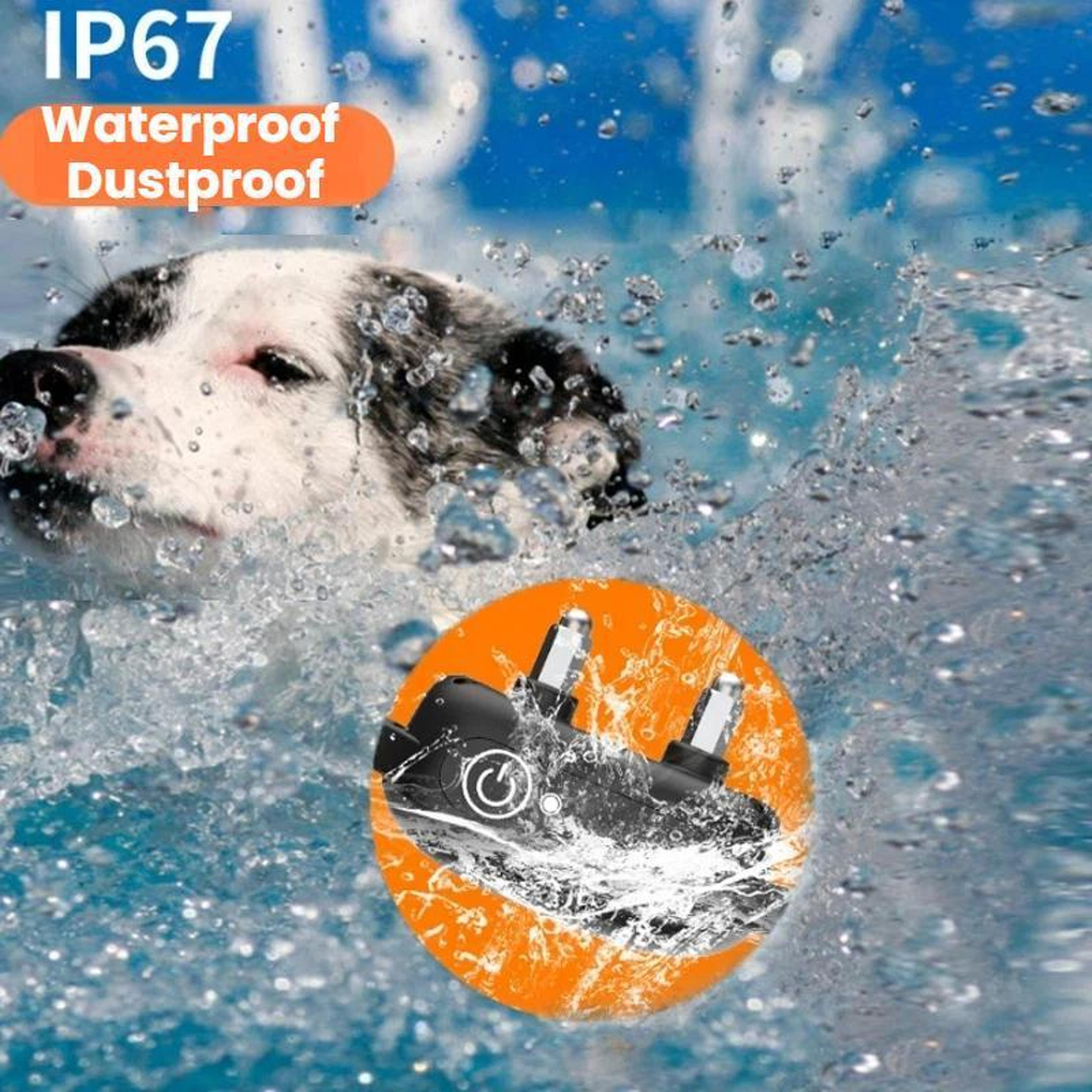 PawControl Waterproof Dog Training Collar With Remote  IP67 Protection 5
