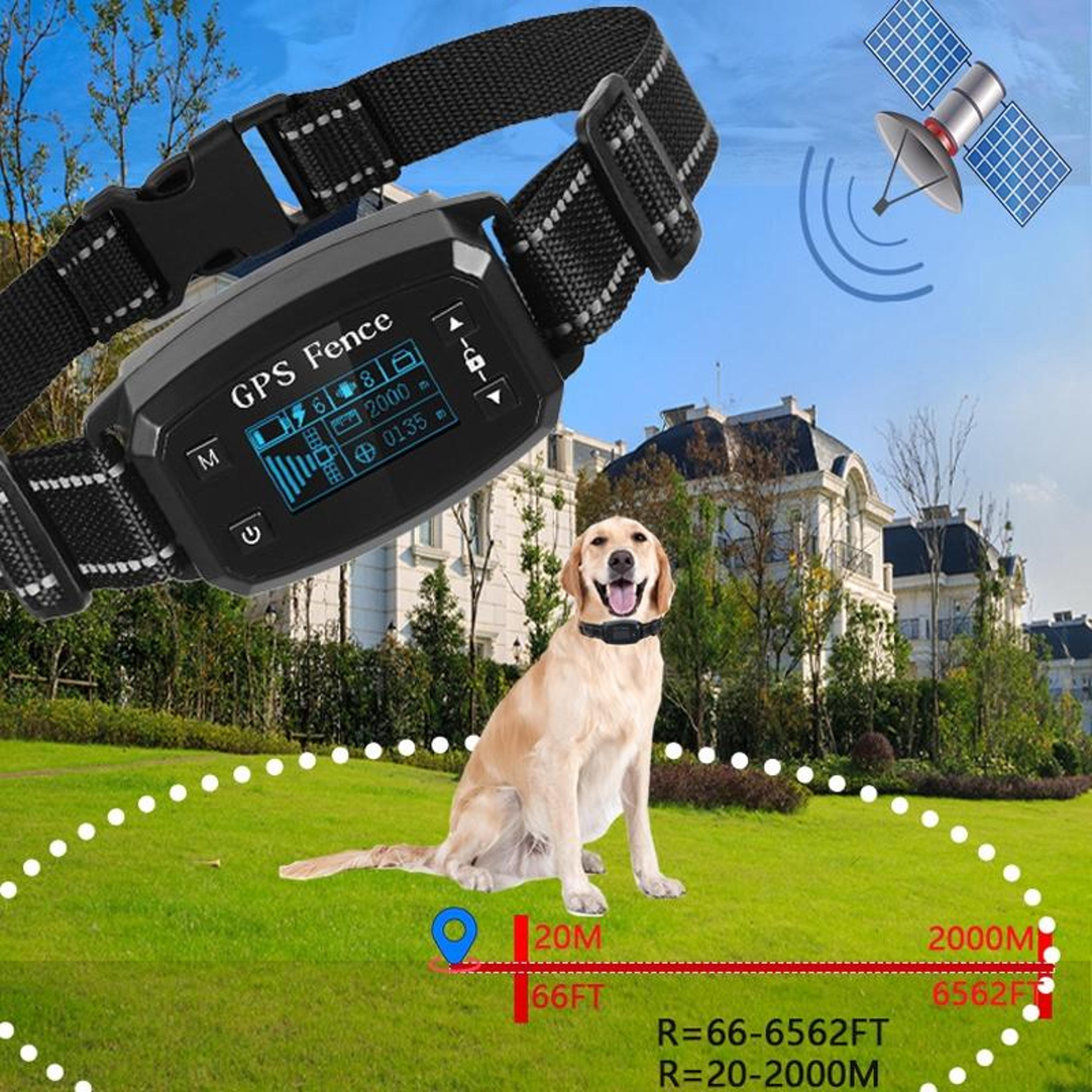 SafeBound GPS Dog Fence  Training Collar With OLED Display 1
