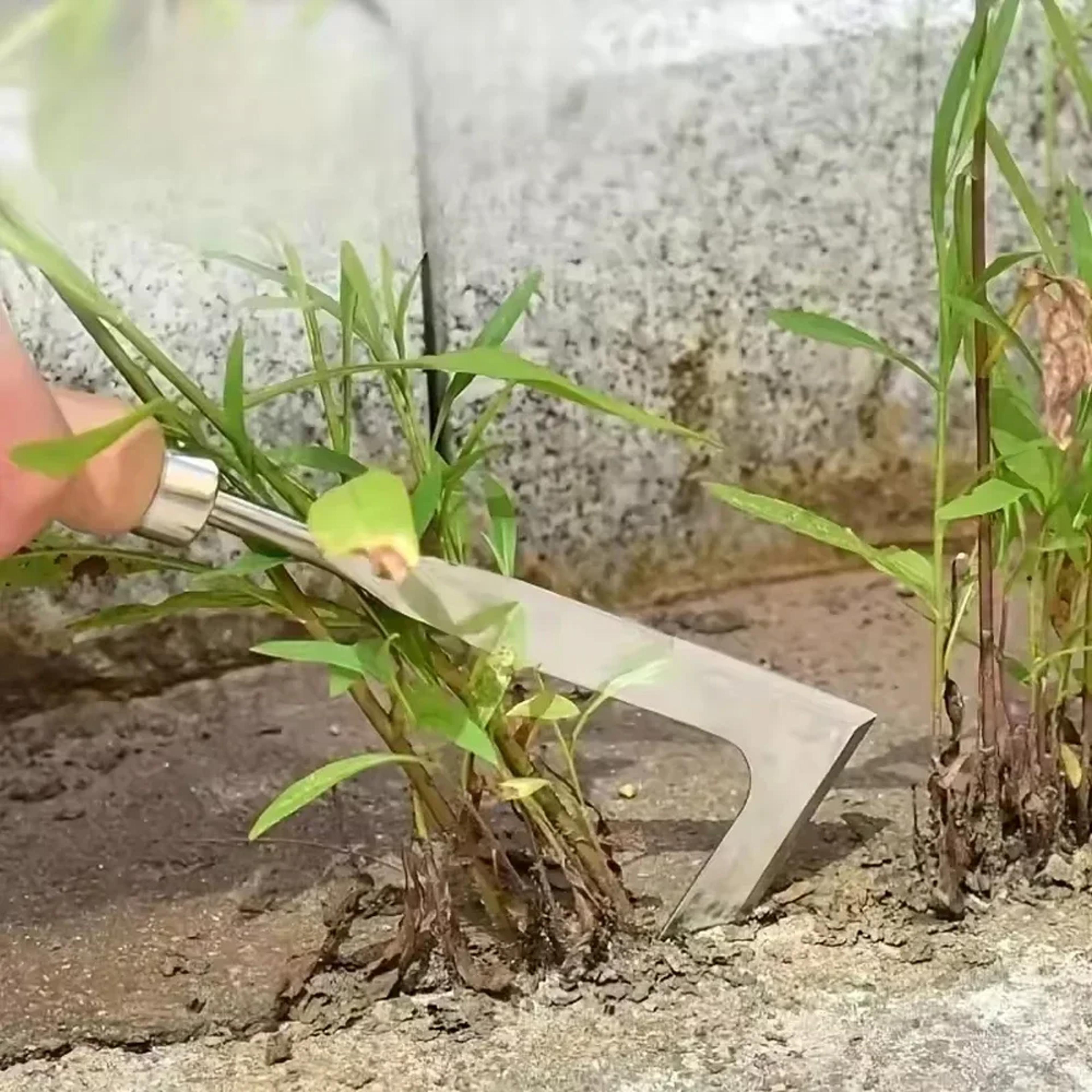 Durable Blade Weed Removal Ergonomic Manual Tool For Cracks Upgraded Carbon Steel Weeder For Lawns  4
