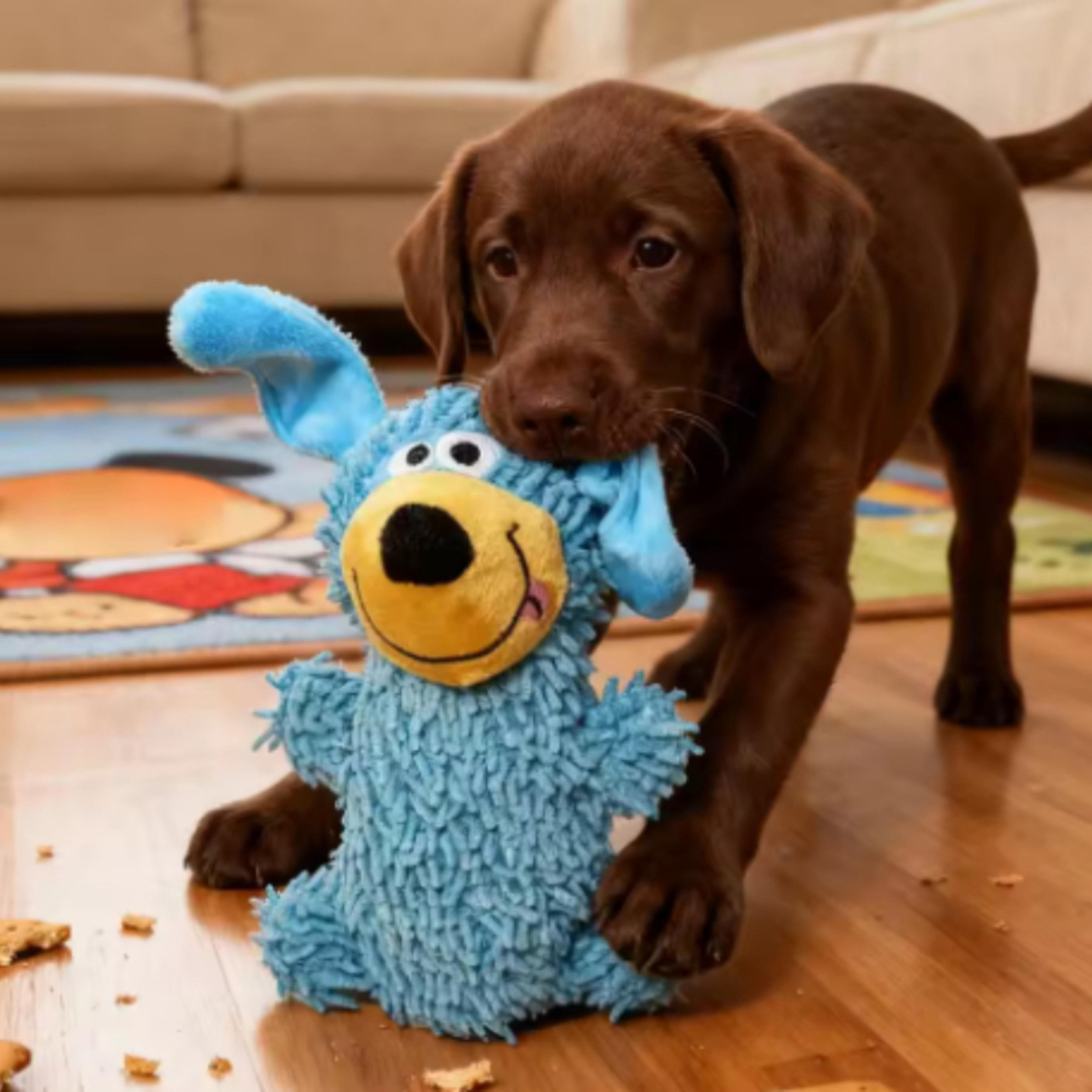 Dog Pet Toys Bite Resistant Self Entertaining Relieve Boredom Teeth Grinding And Sound Companionshi 4