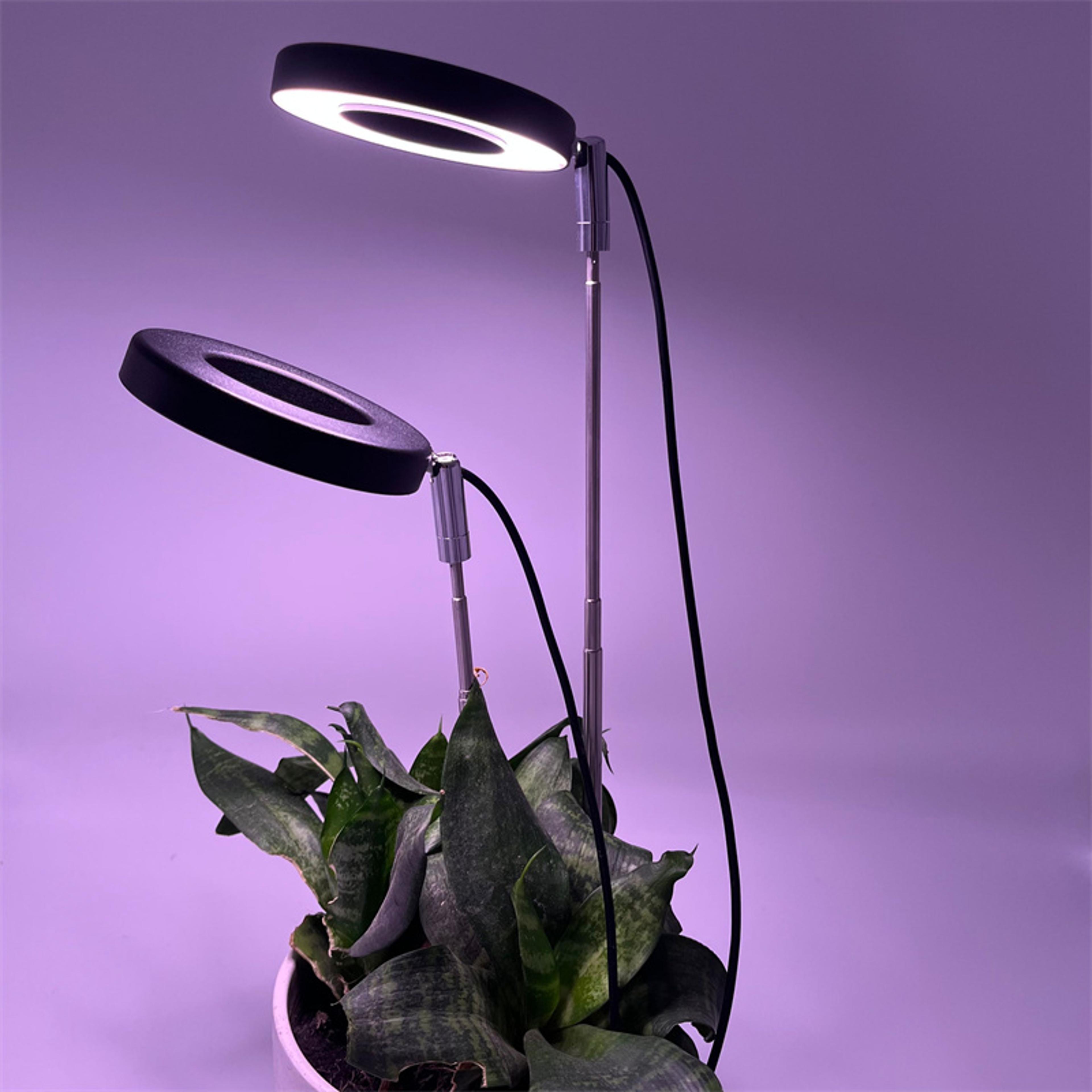 Full Spectrum LED Plant Grow Light With Adjustable Height  Auto Timer For Indoor Plants 3