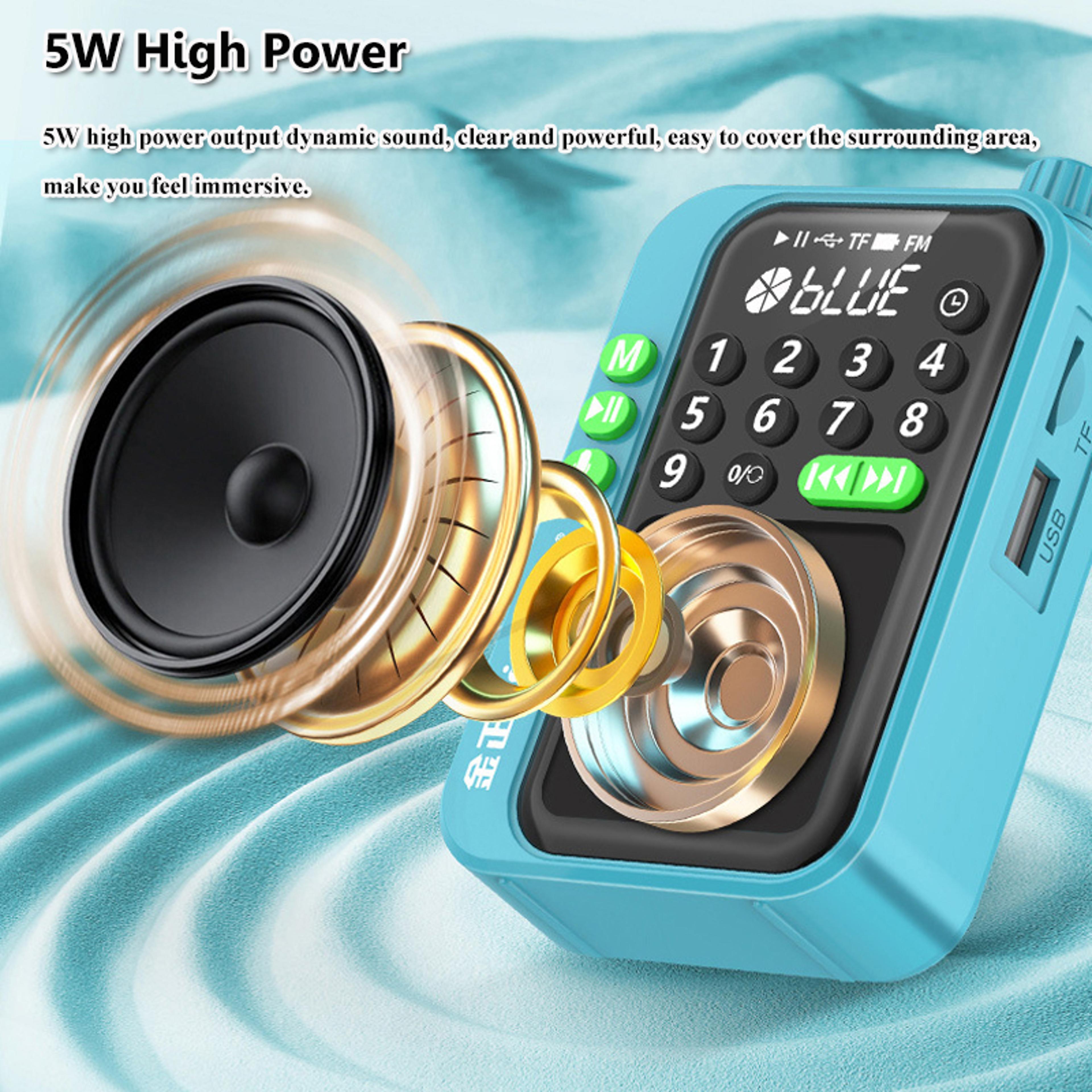 Mini Pocket FM Radio Bluetooth Speaker With LED Display And Recording Feature 1