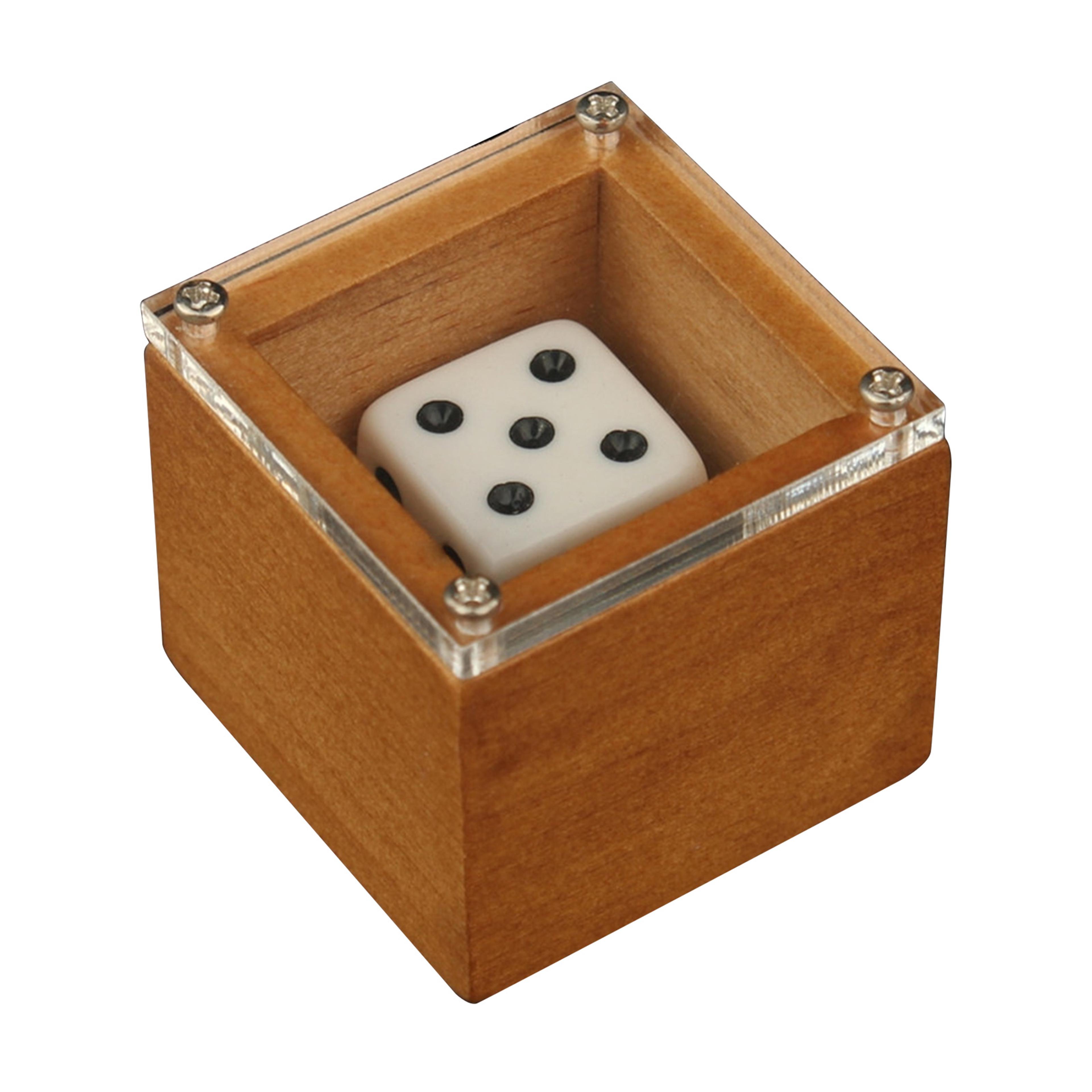 Magic Dice Trick Dot Number Changing Illusion Prop For Kids  Adults  Stage  CloseUp Magic 2