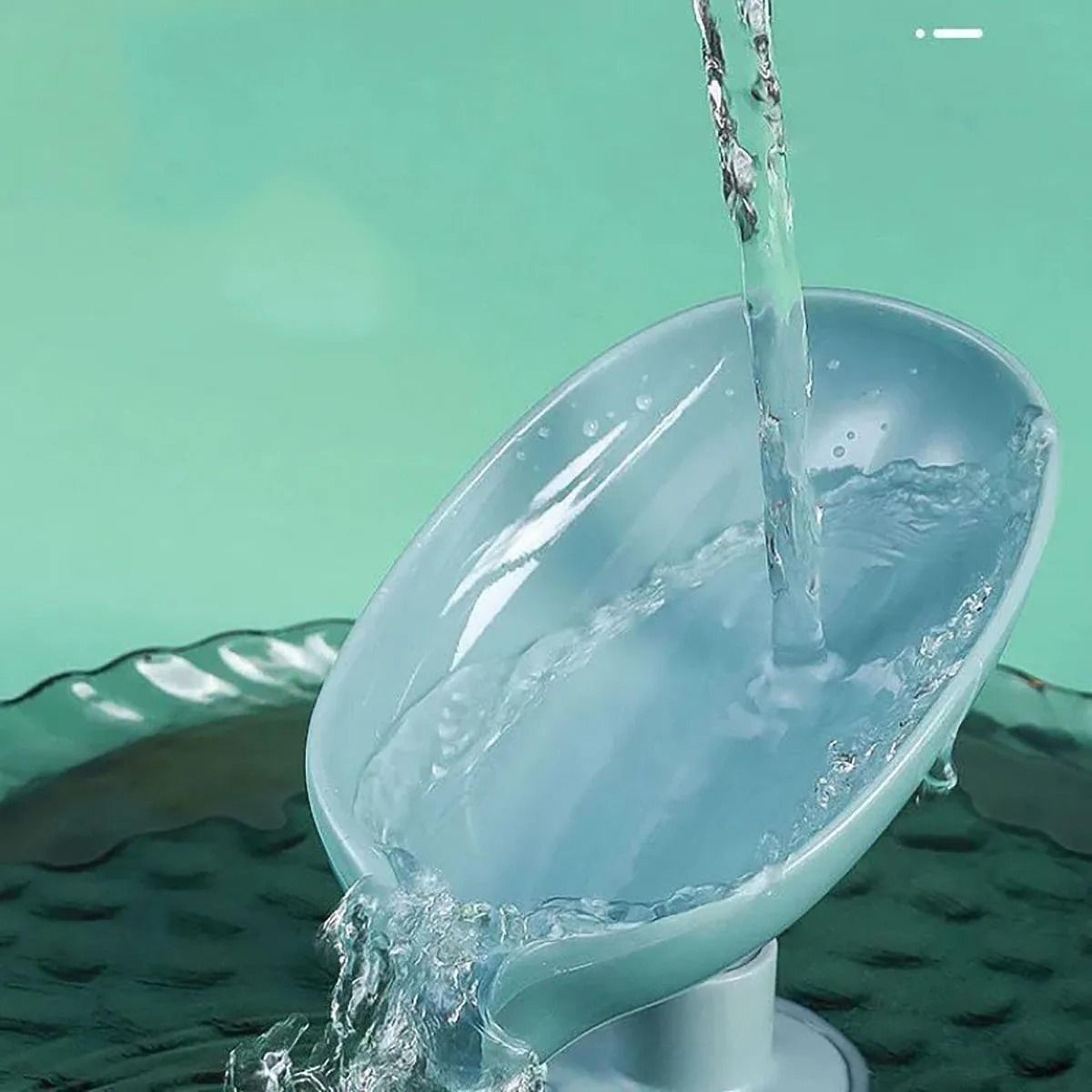 Leakproof Soap Holder for Kitchen