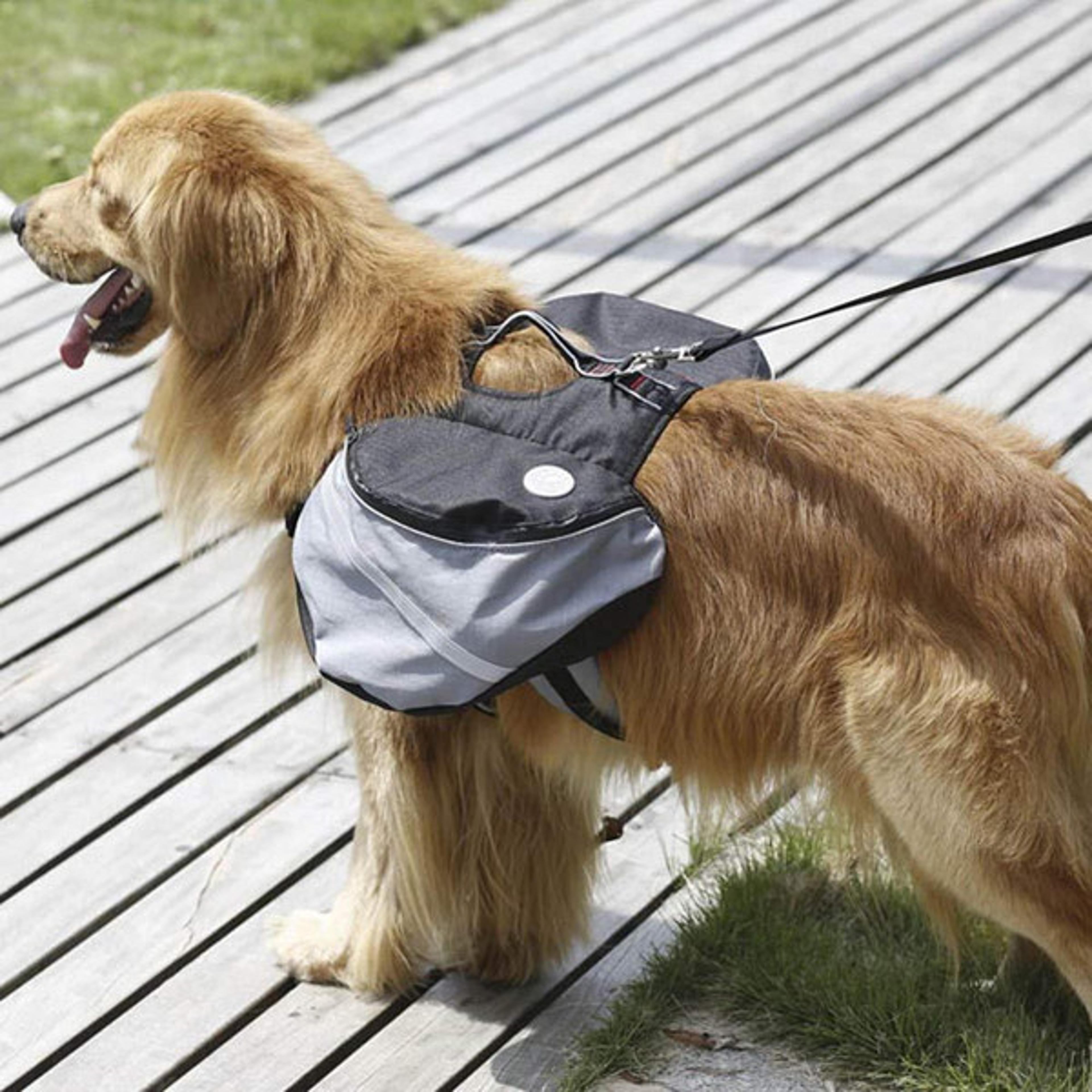 Outdoor Dog Backpack (10).jpg