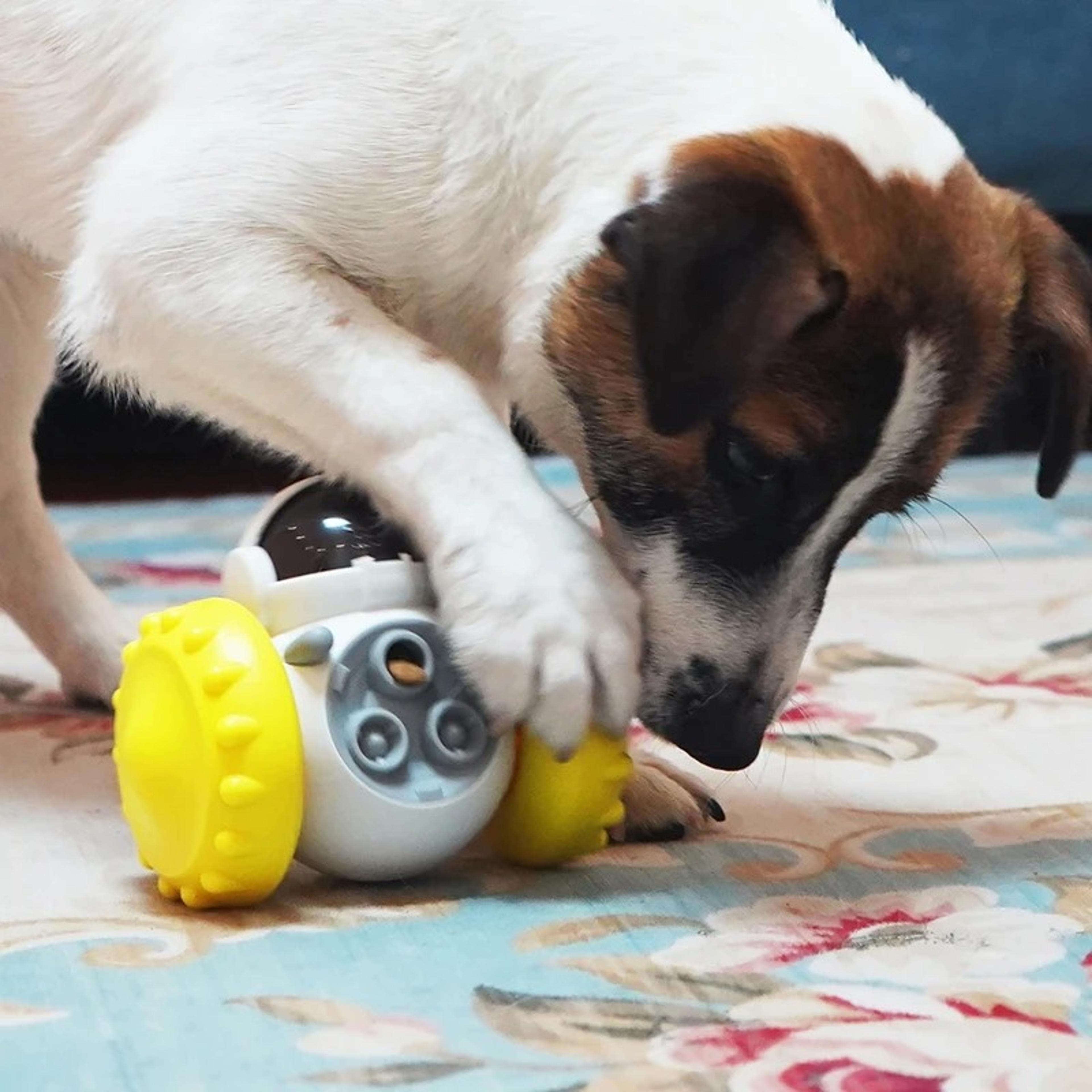 interactive dog puzzle feeder – slow feed treat toy for healthy pets