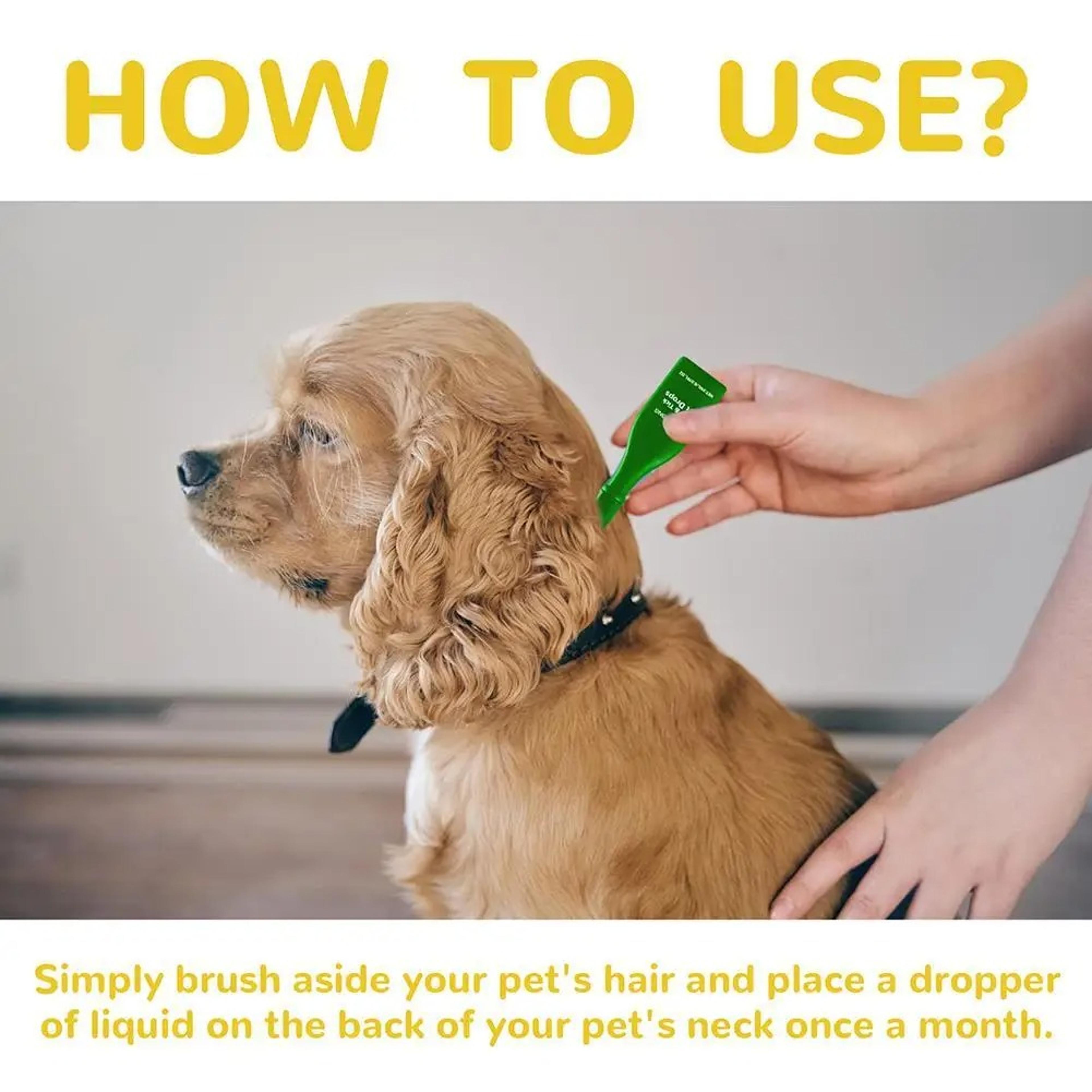Natural AntiFlea  Tick Drops For Dogs And Cats  Relieve Itching  Remove Lice 5