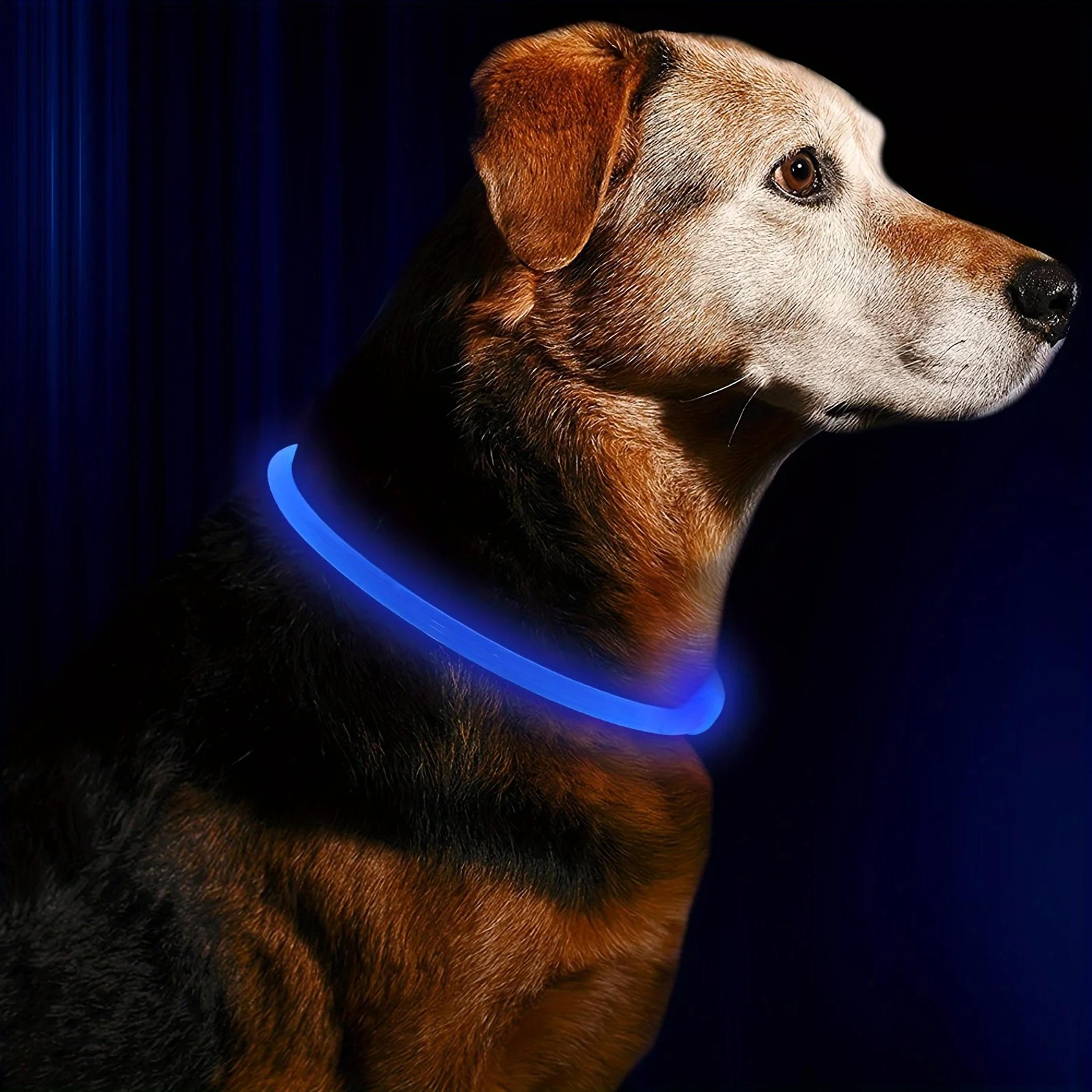LED Dog Collar with USB Charging