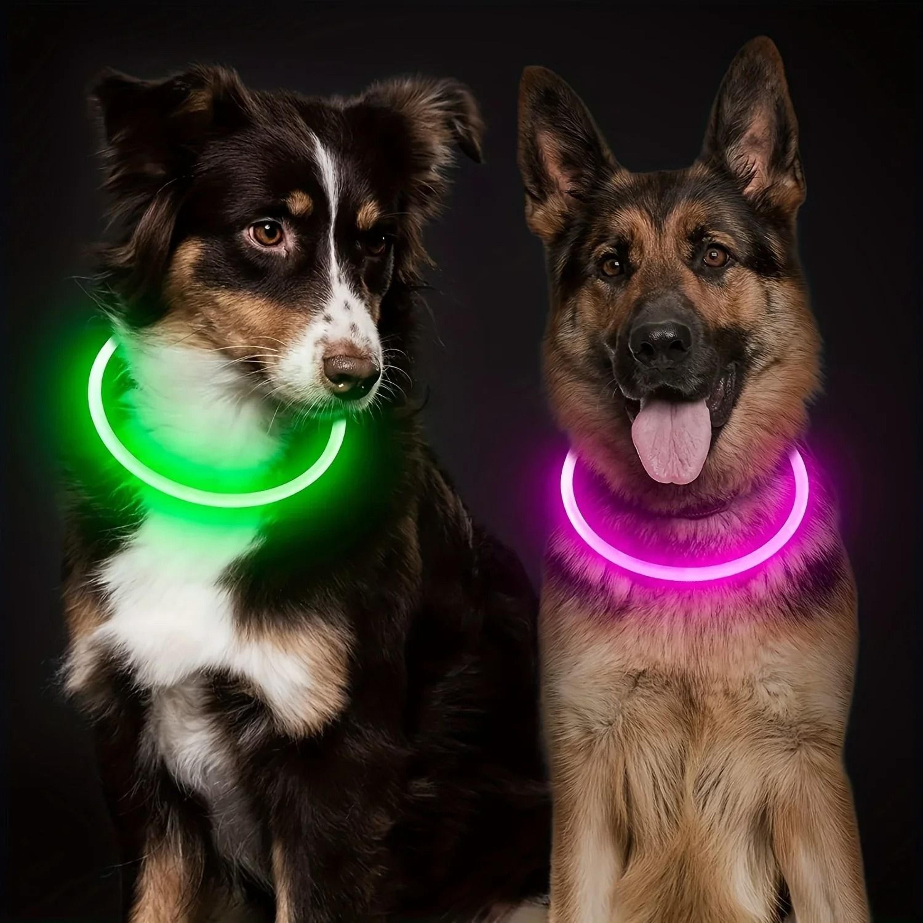 USB Rechargeable Fiber Optic Collar Pet Dog LED Light Collar Luminous Anti Lost Dog Necklace Collar 1