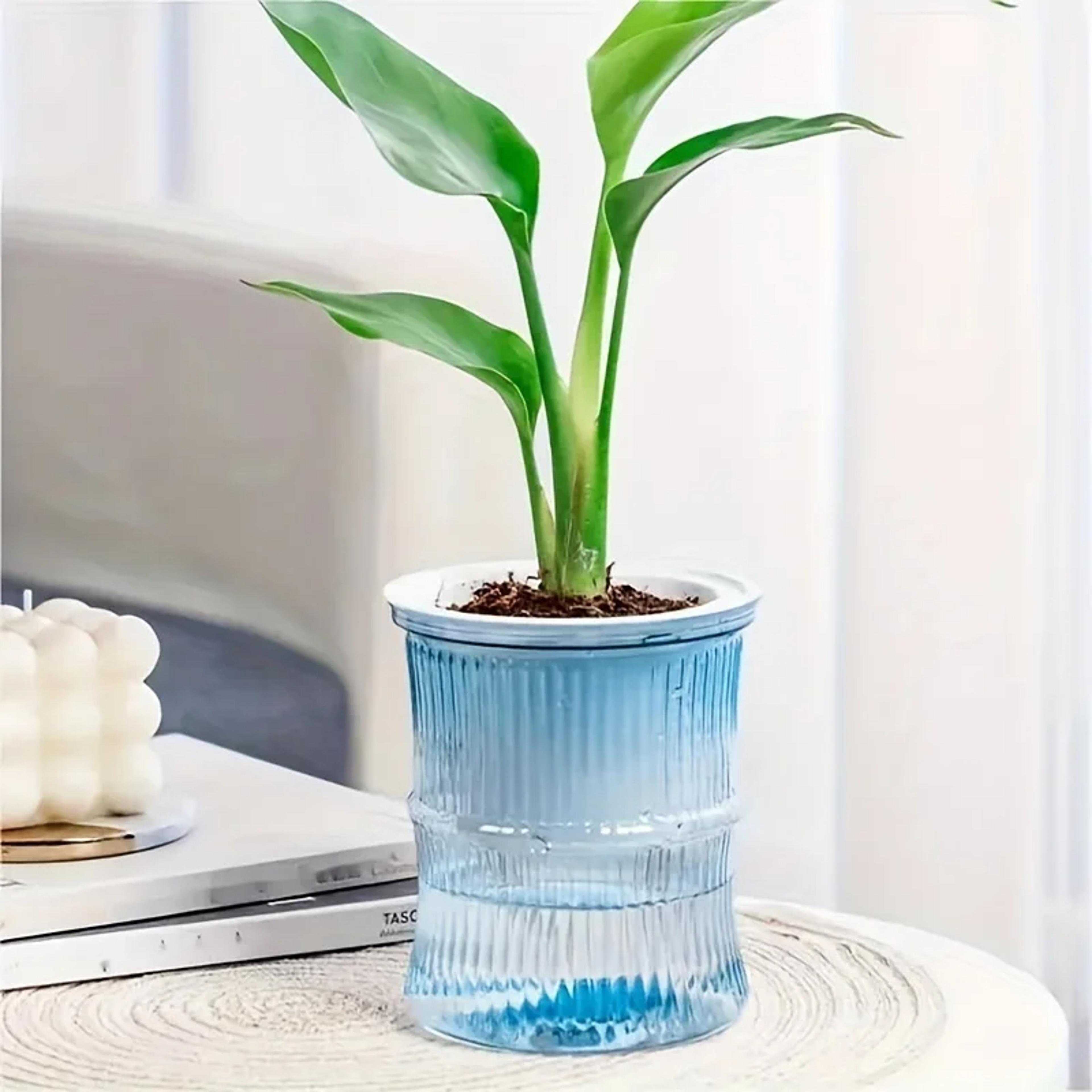 Self Watering Hydroponic Flower Pot Automatic Double Layer Planter For Effortless Indoor Plant Care 7