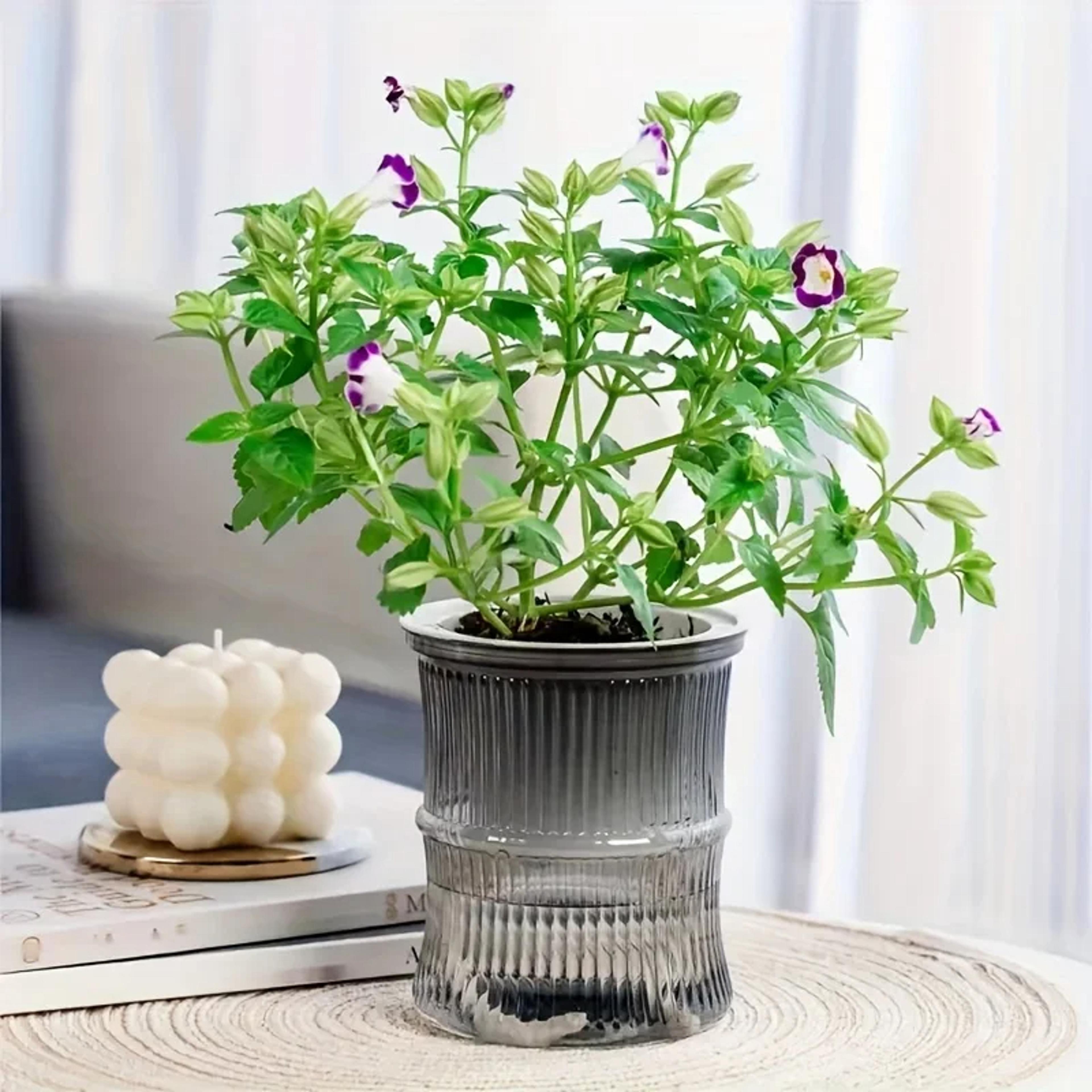 Self Watering Hydroponic Flower Pot Automatic Double Layer Planter For Effortless Indoor Plant Care 4