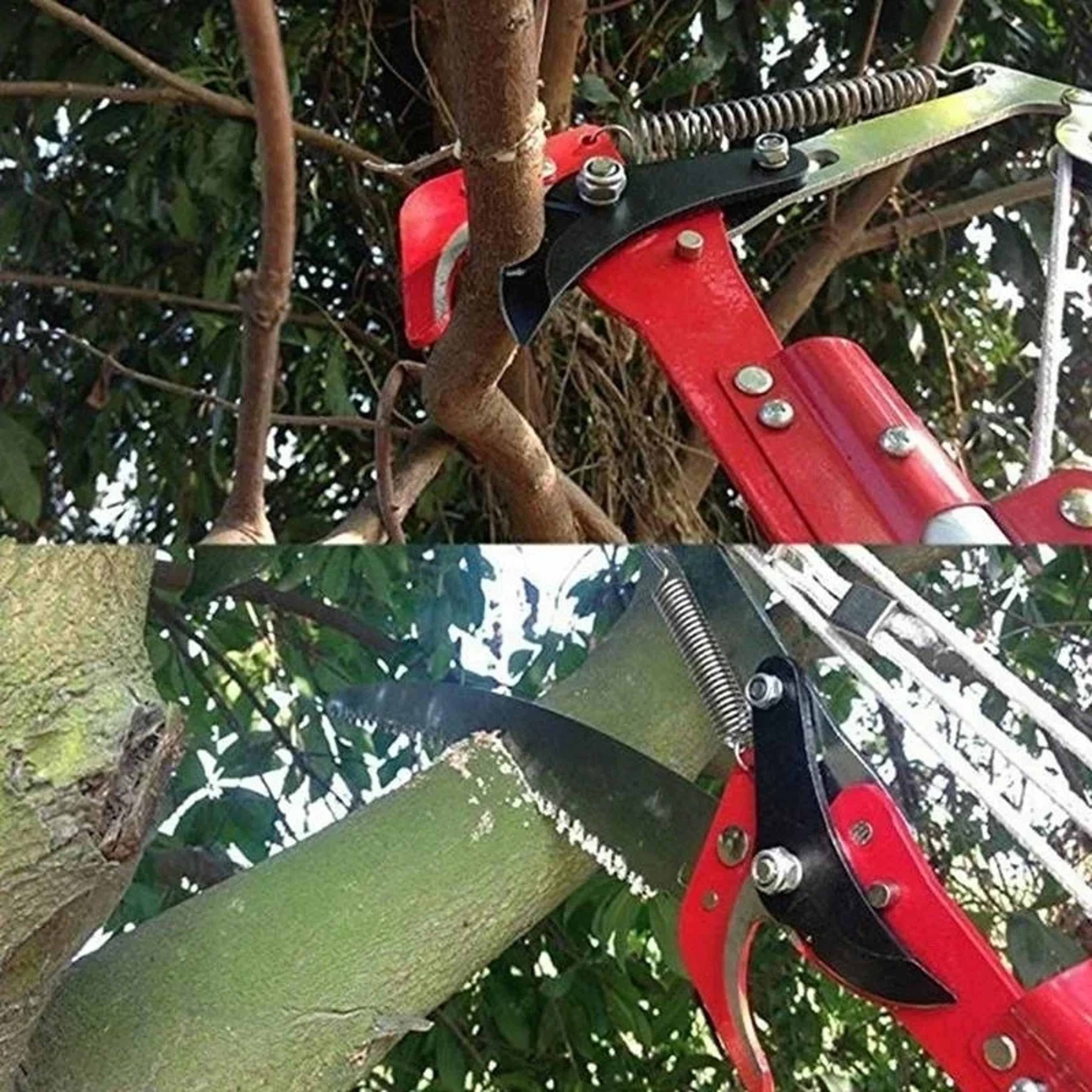 Premium High Tree Branch Pruner Extendable Orchard Pruning Tool With Long Reach Precision Cutters 3