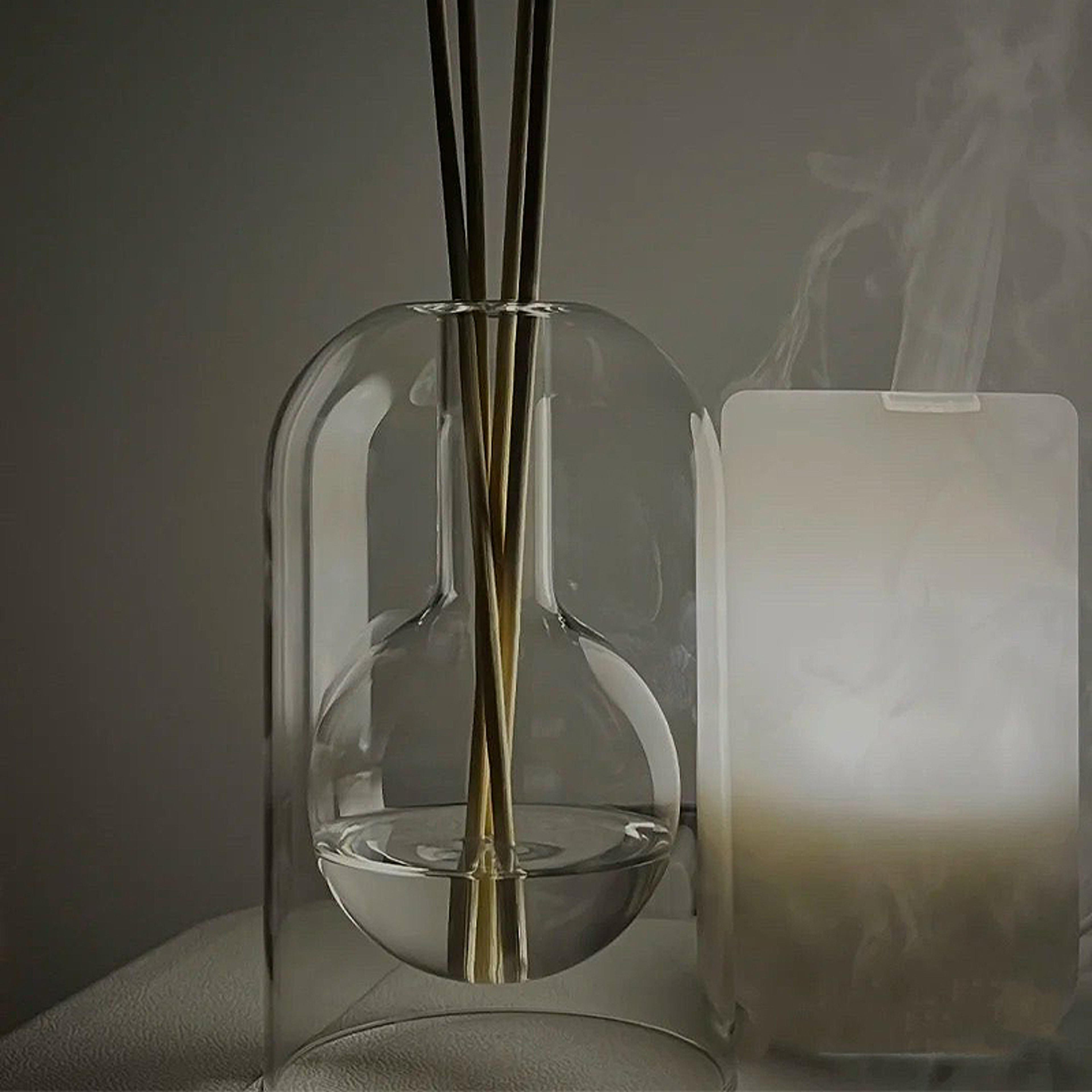 Aromatherapy Diffuser Bottle Glass Modern Home Decorations Essential Oil With Diffusers Sticks Tran 3