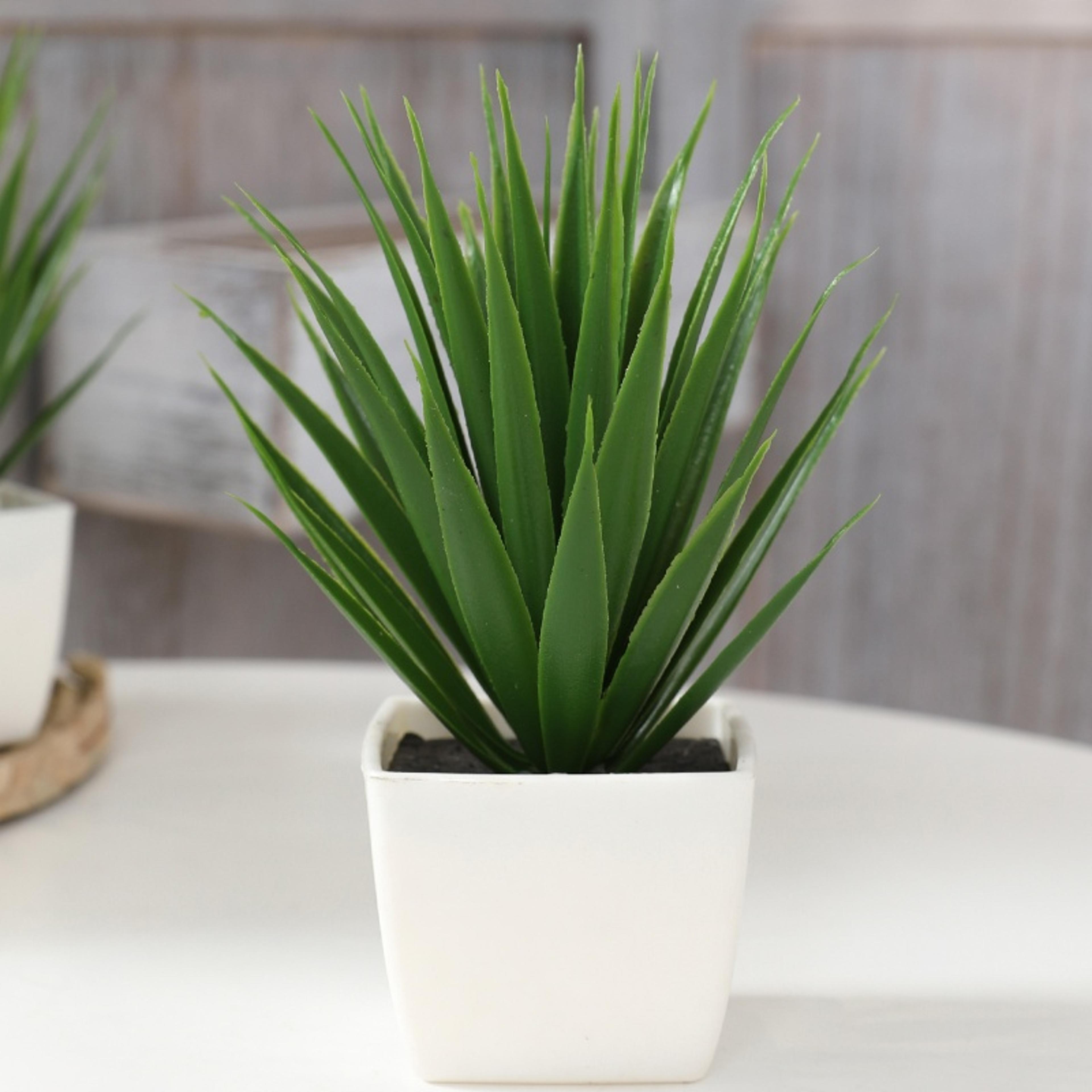 Simulation Plant Potted Plants For Home Decoration Office Desk Garden Courtyard Placement 2