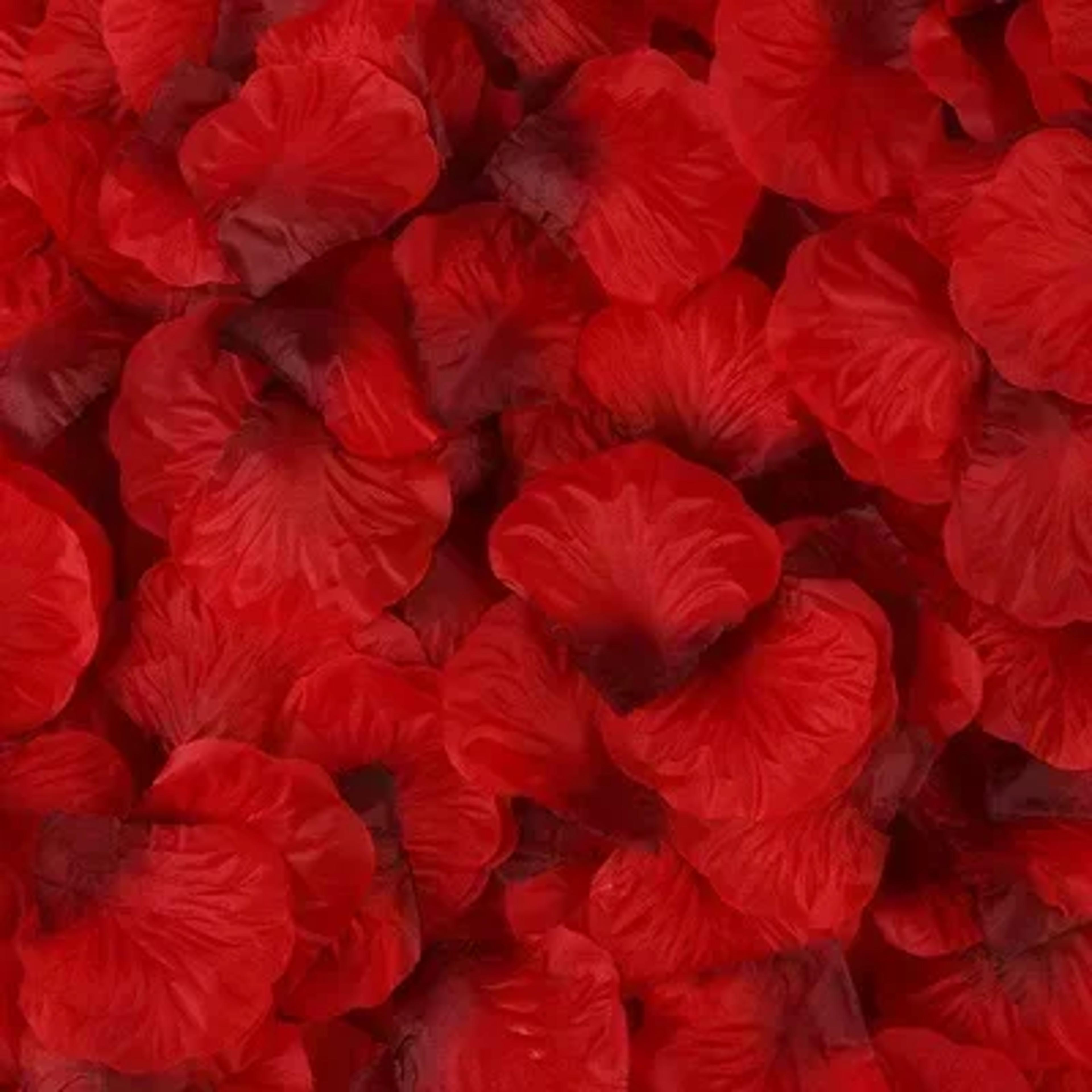 Artificial Fake Rose Petals Colorful Simulation Silk Rose Petal Valentines Day Wedding Party Romant 10