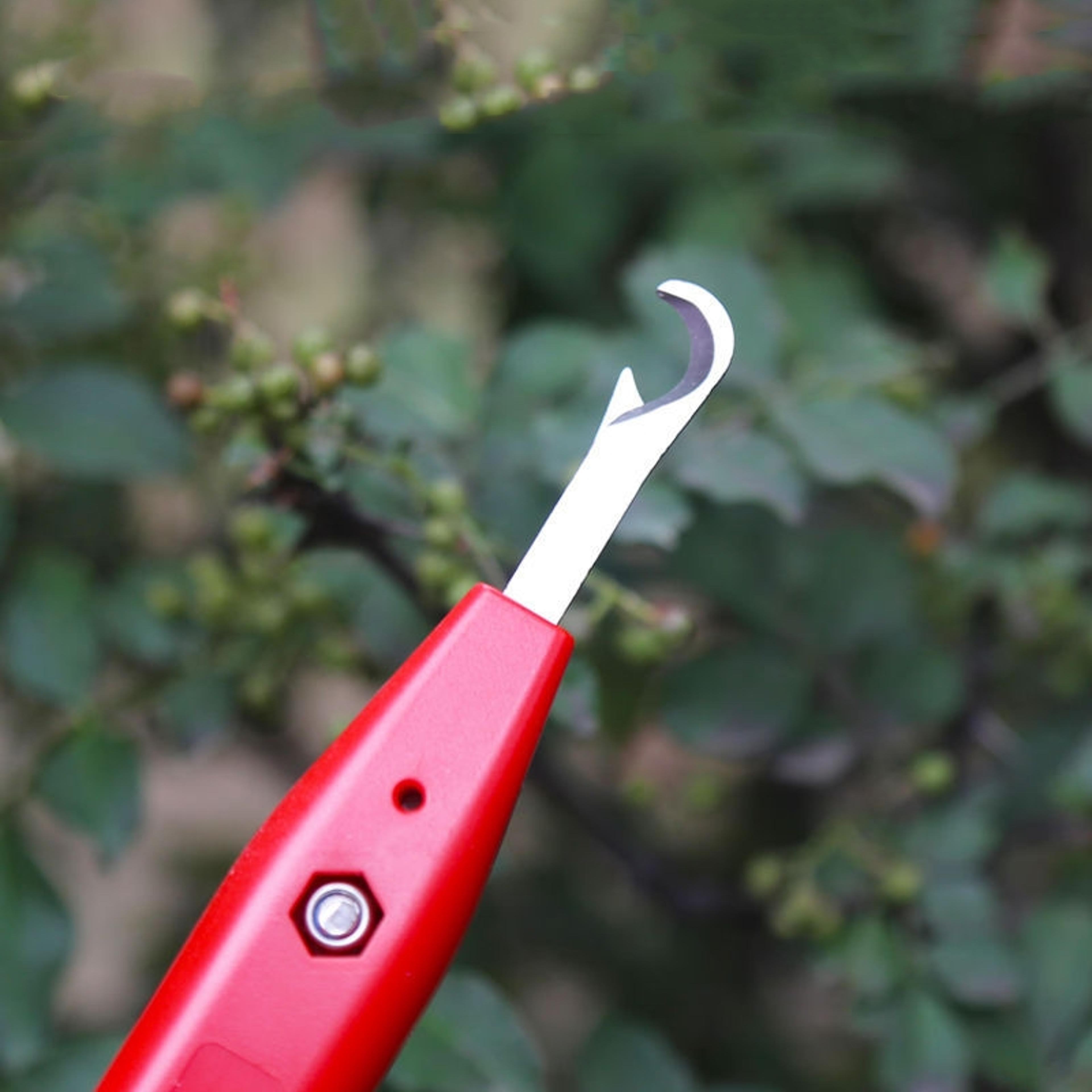 Precision Fruit Picking Shears Ergonomic Garden Harvesting Tool For Clean Cuts 3