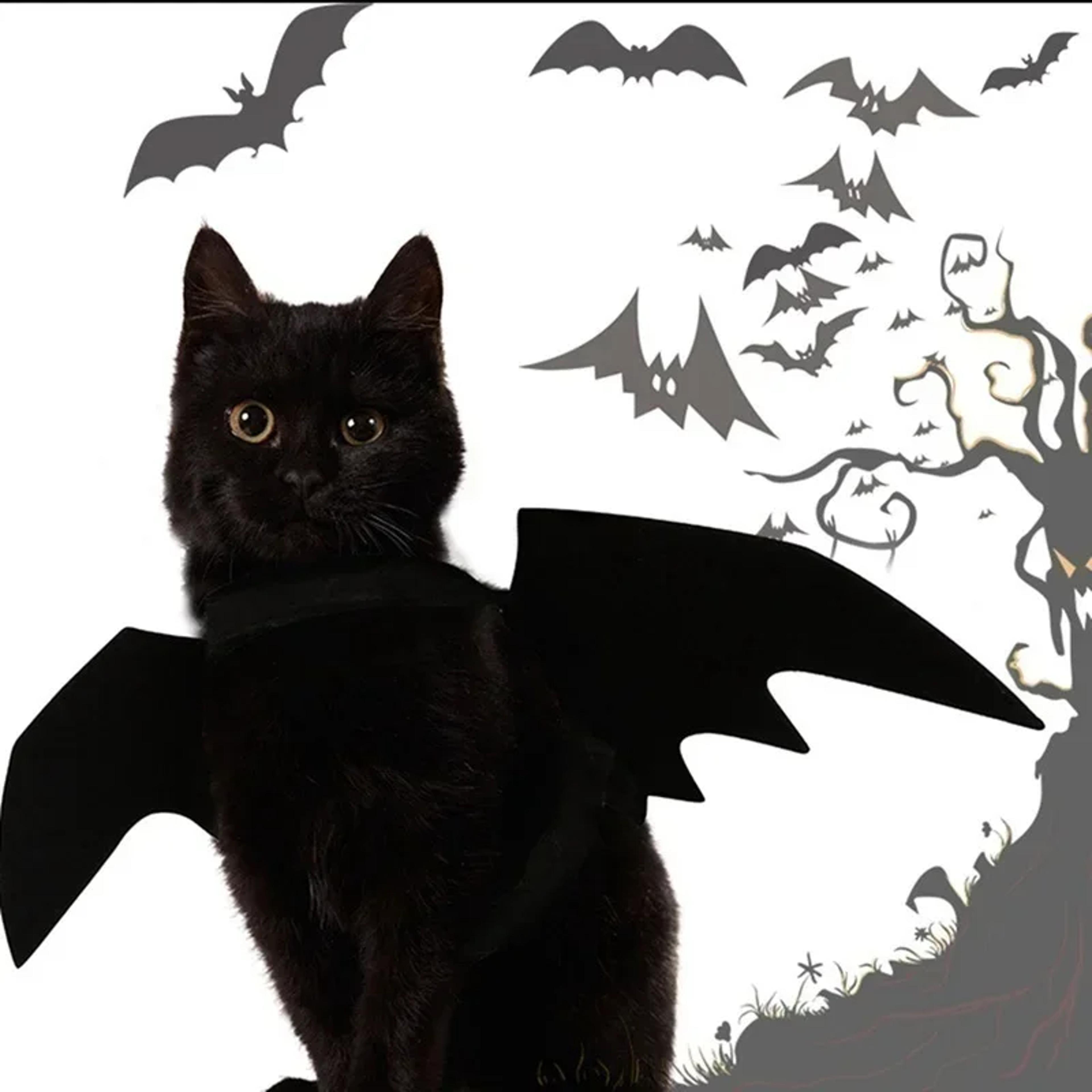Cosplay Cat And Dog Outfit Black Bat Wings Creative Cute Pet Clothes Party Costume 2