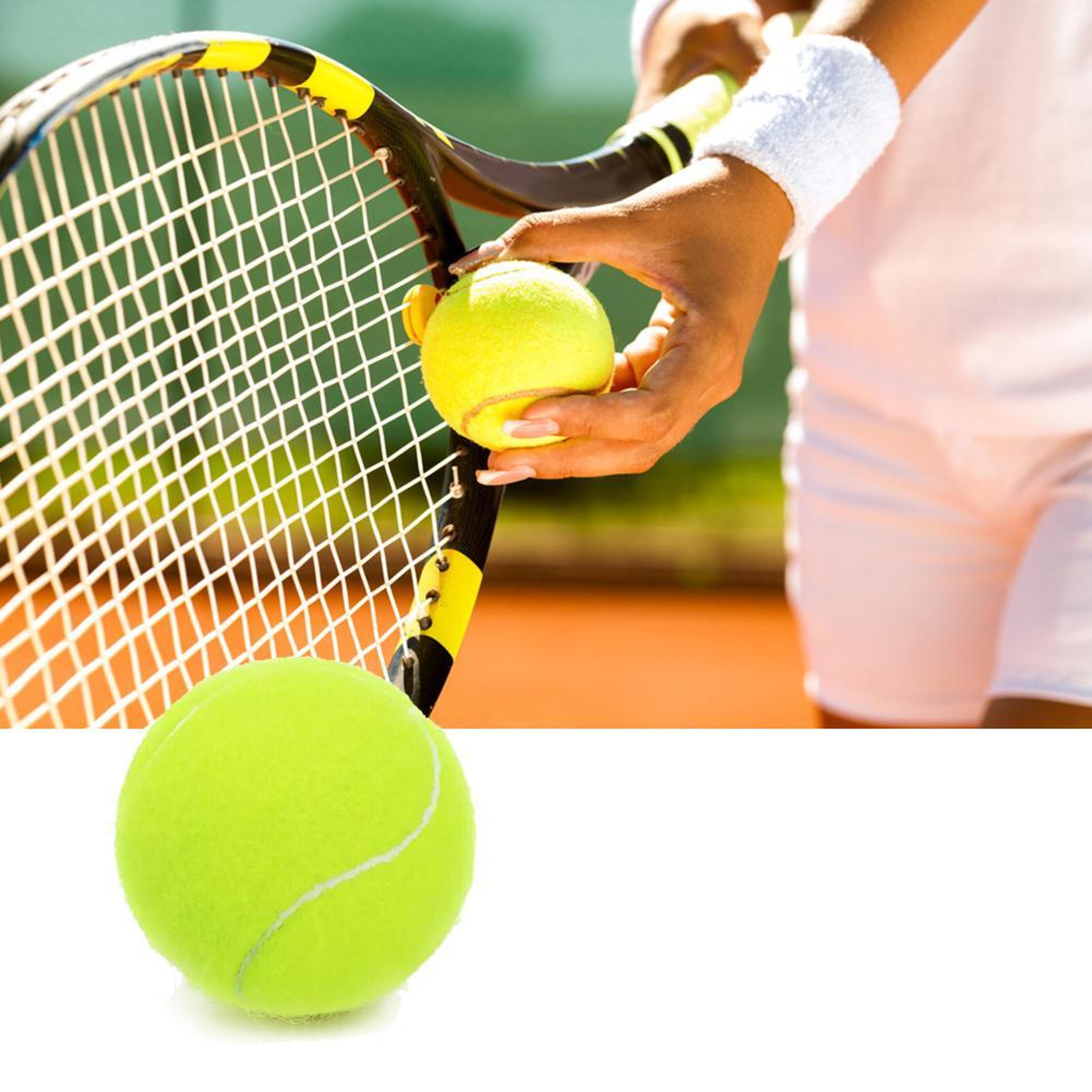 Tennis Training Game Ball Outdoor High Elasticity Tennis Professional Dogs Bite Chase And Chomp Ten 4