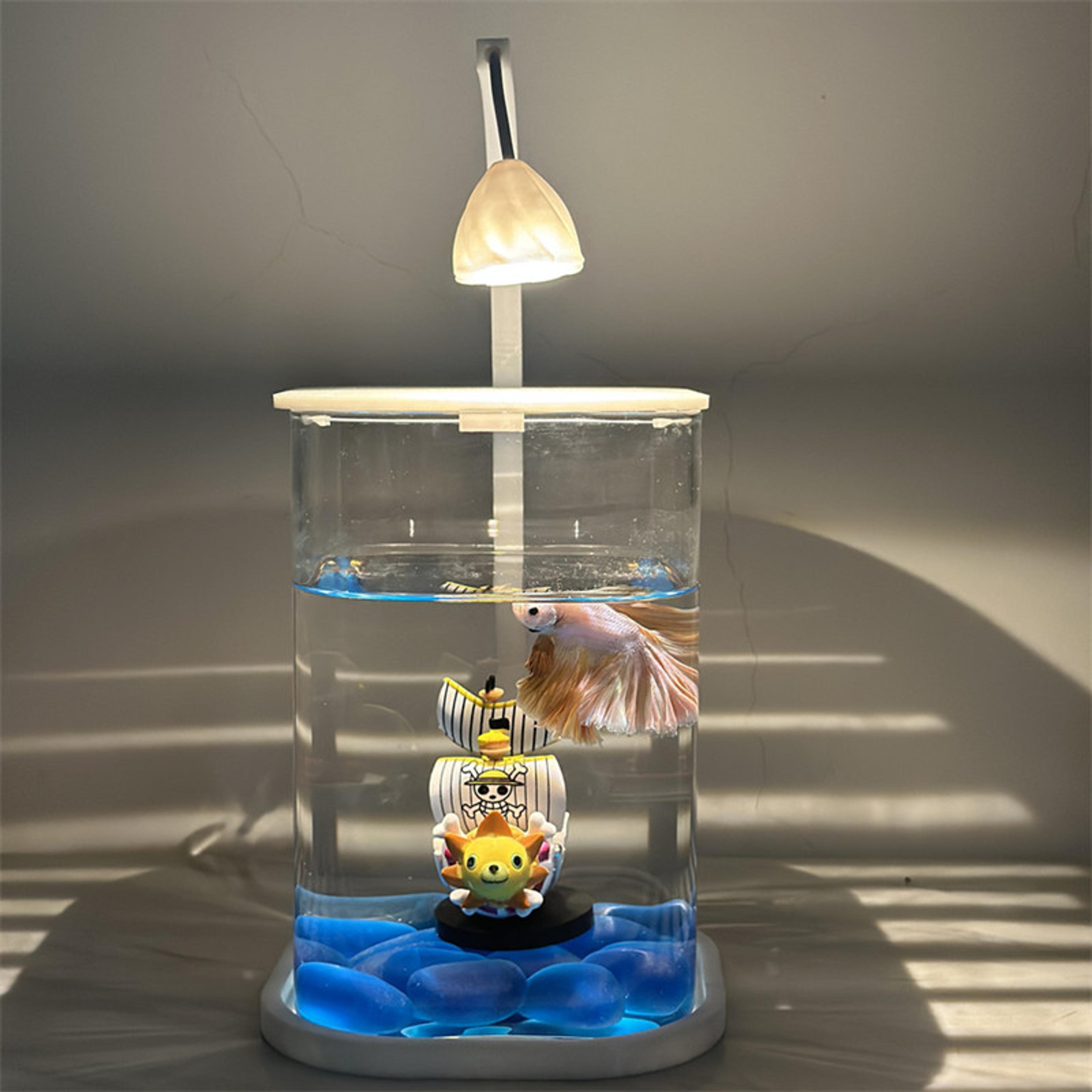 betta fish mini desktop glass aquarium tank with led light for kids betta fish