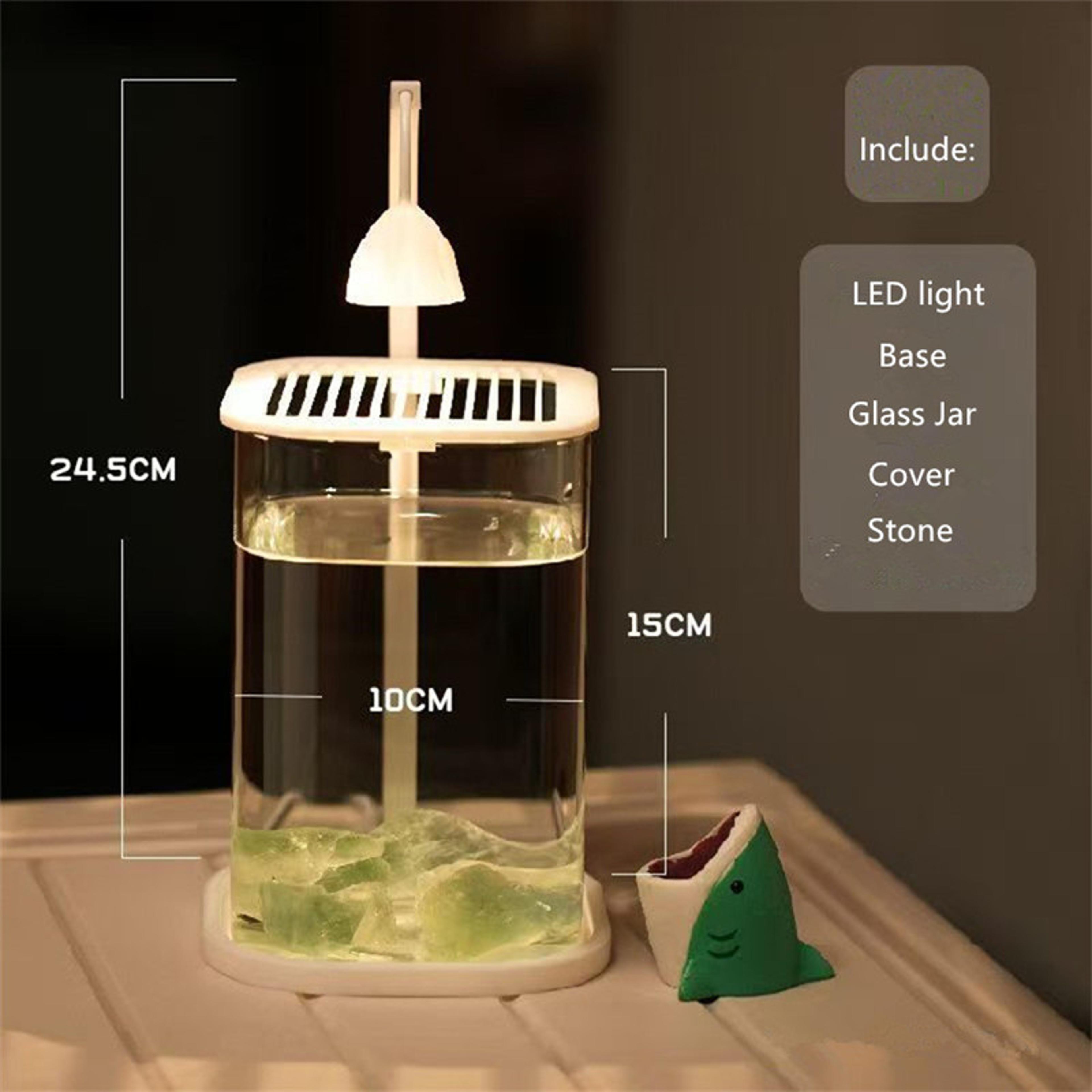 Betta Fish Mini Desktop Glass Aquarium Tank With LED Light For Kids Betta Fish 4