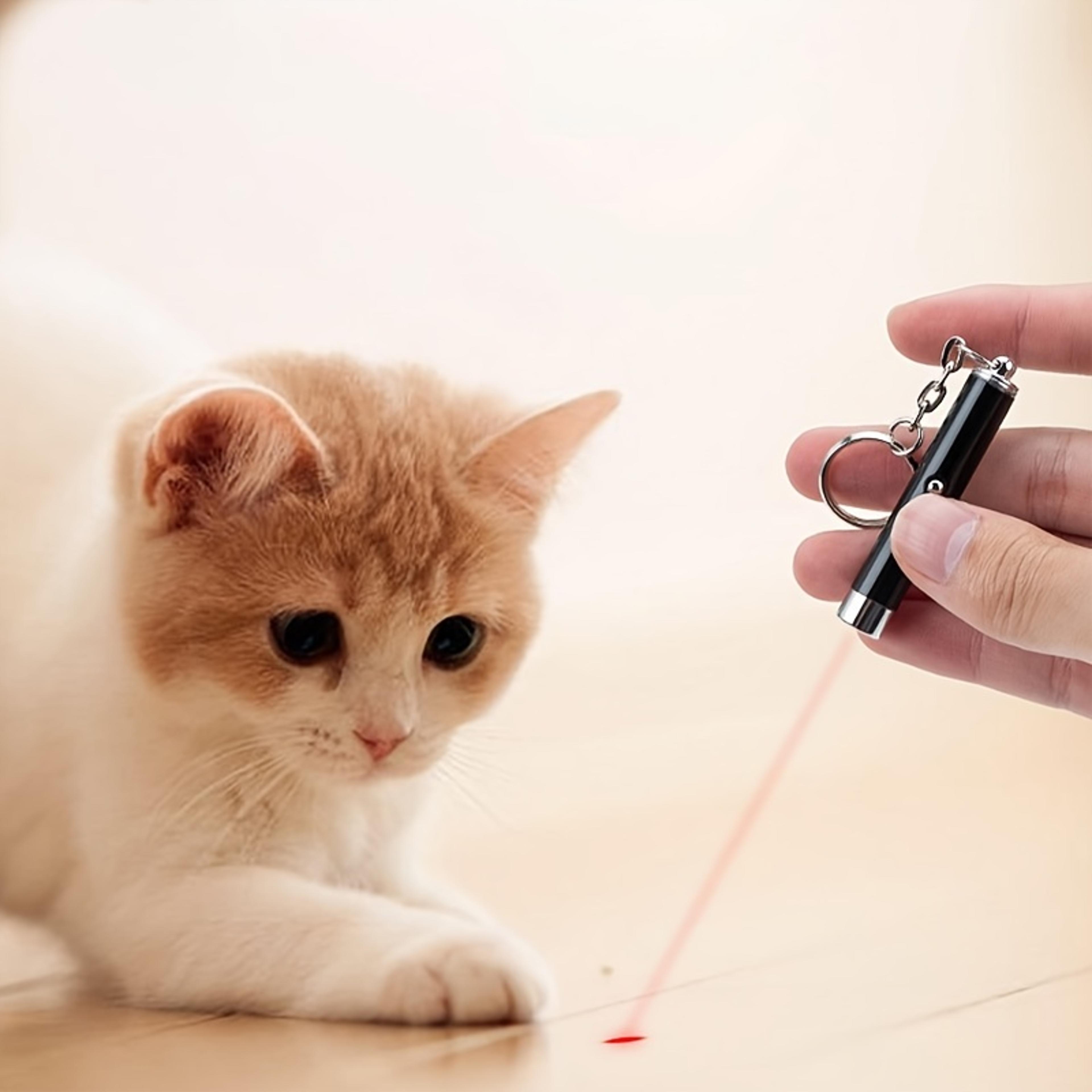 Pointer Interactive Toys For Cats Cat Laser Light Exercise Toys For Bored Indoor Cats Pet Teaser La 7