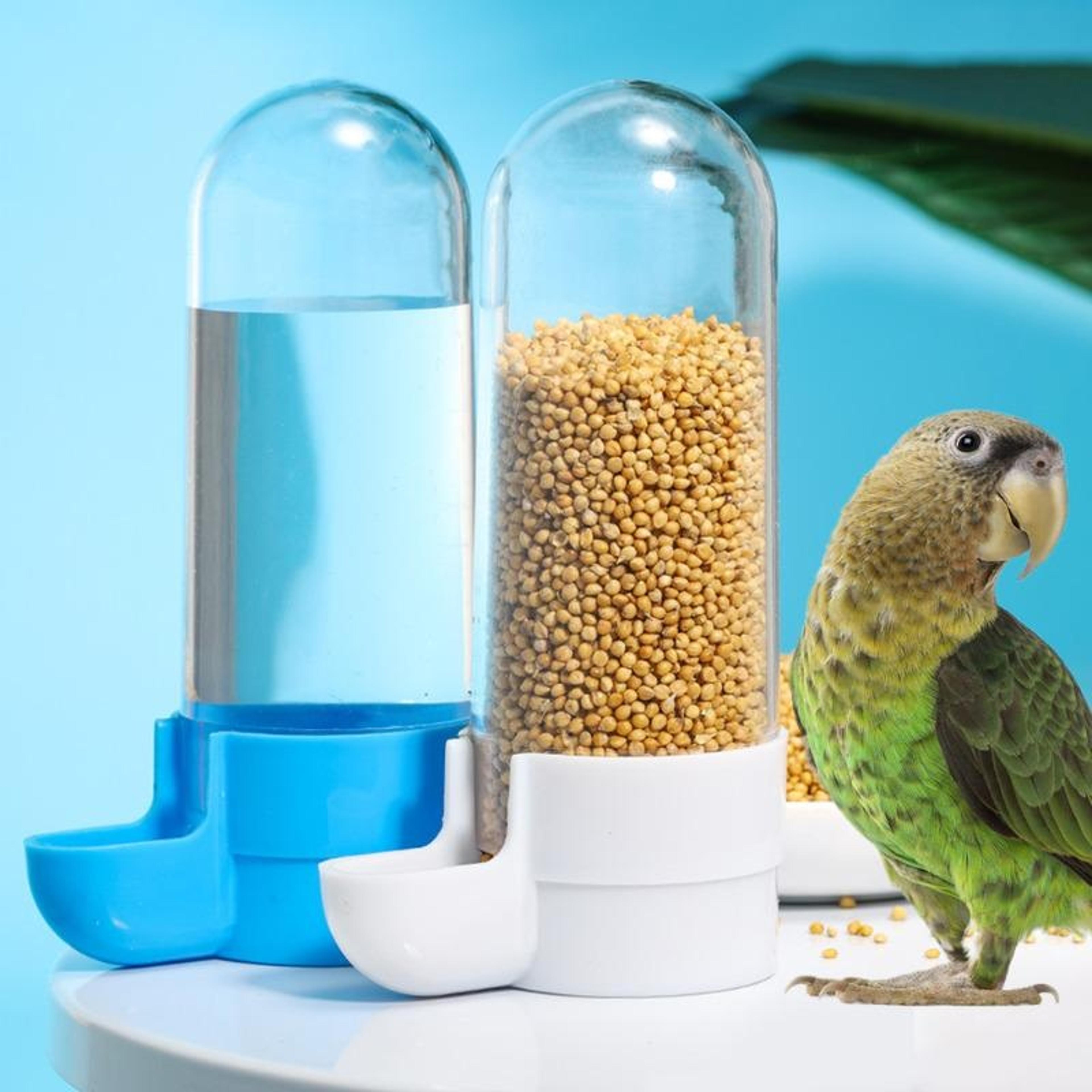 hanging pet feeder for squirrel & parrot – water dispenser & food box for bird cage accessories, perfect for birds